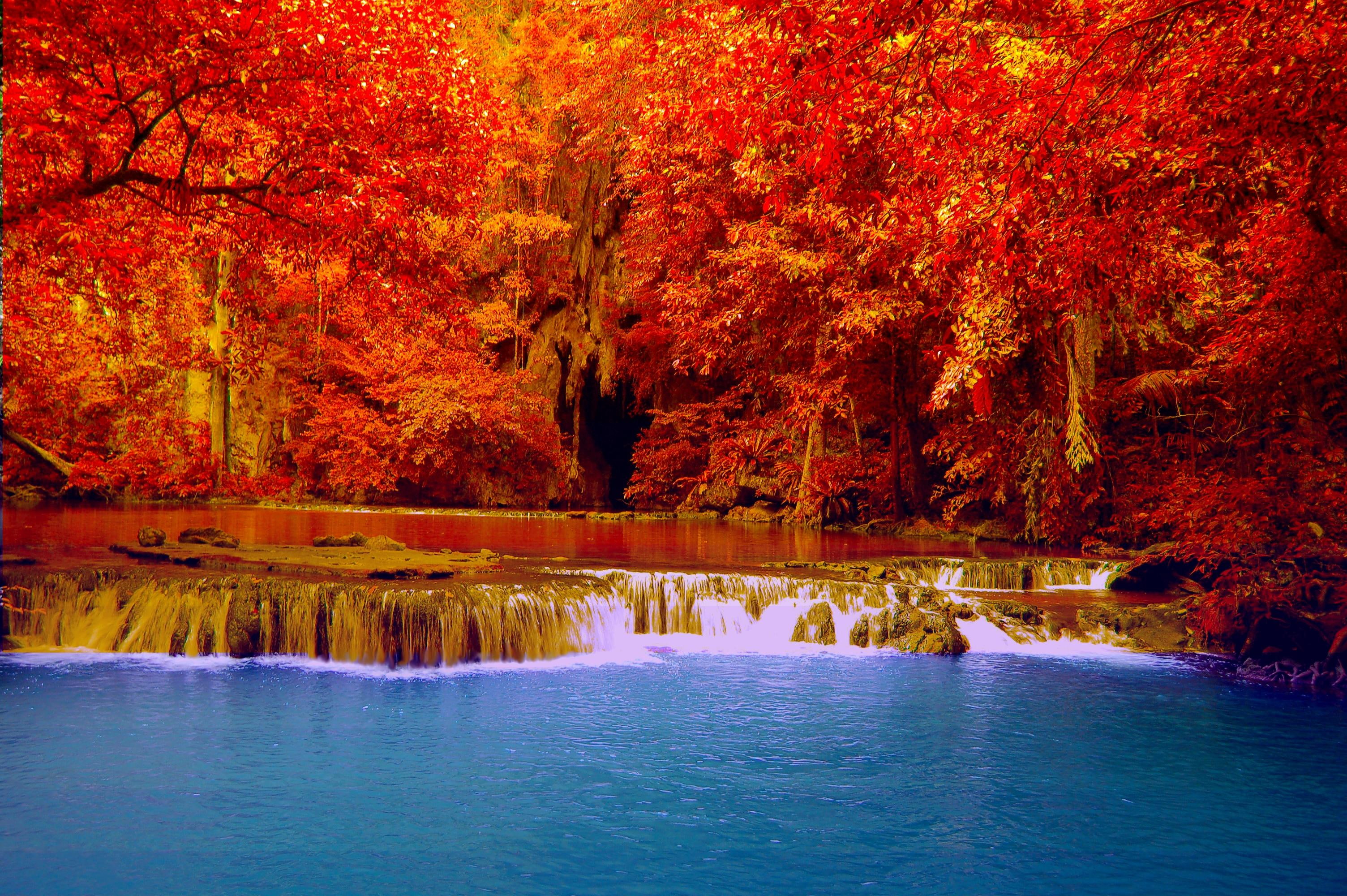 mini, erawan, waterfalls, photography, falls, 2K, autumn, pool, maple, forest, trees, HD Wallpaper