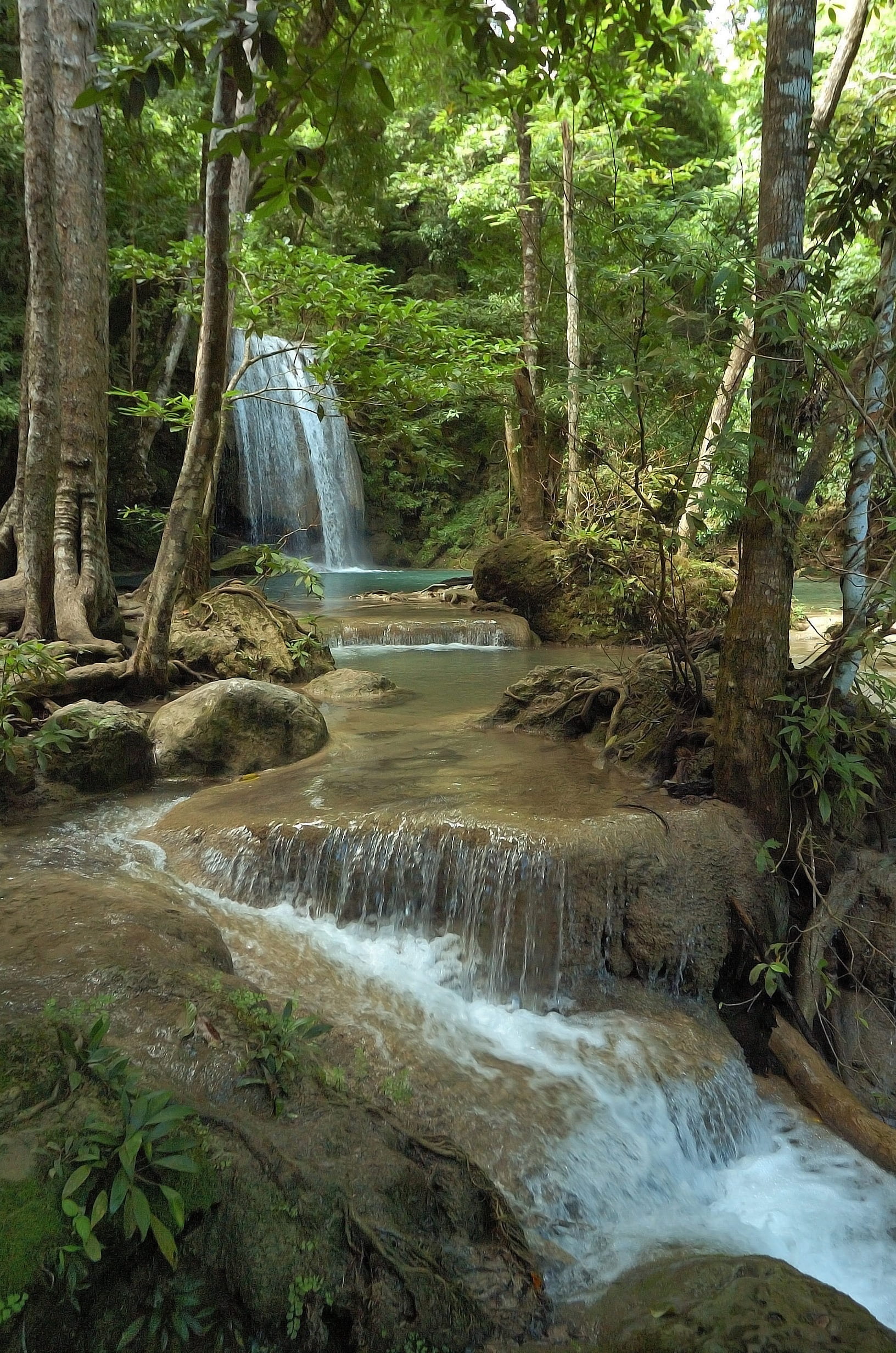 outdoors, forest, erawan, national park, water, jungle, river, motion, waterfall, plant, growth, kanchanaburi, flowing, trees, woodland, rainforest, cascade, Phone HD Wallpaper