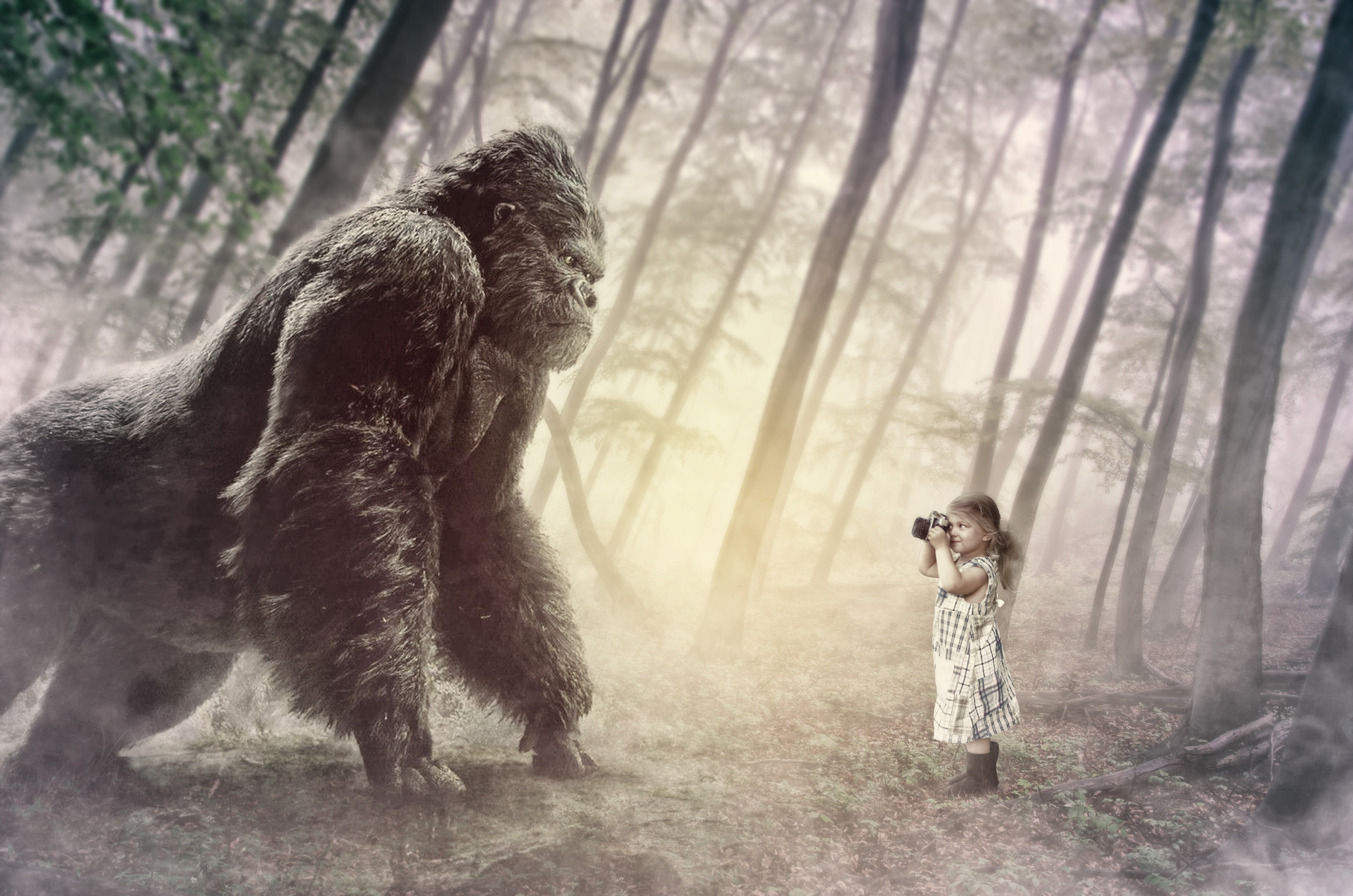 guerrilla, erawan, animals in the wild, forest, 4K, trunk, standing, thailand, cascade, woodland, mammal, adult, waterfall, people, godzilla, little, tree, HD Wallpaper