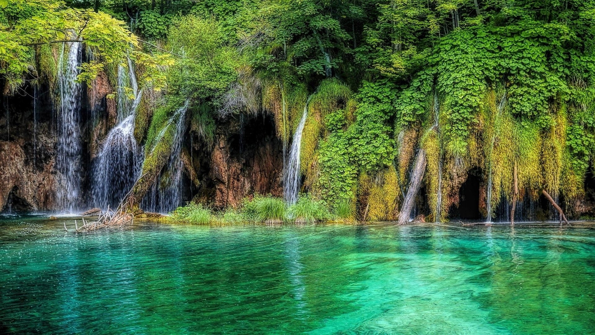 Plitvice lake, Vegetation, 1080P, Water, Earth, Plitivice Lake, Waterfall, Nature, Croatia, HD Wallpaper