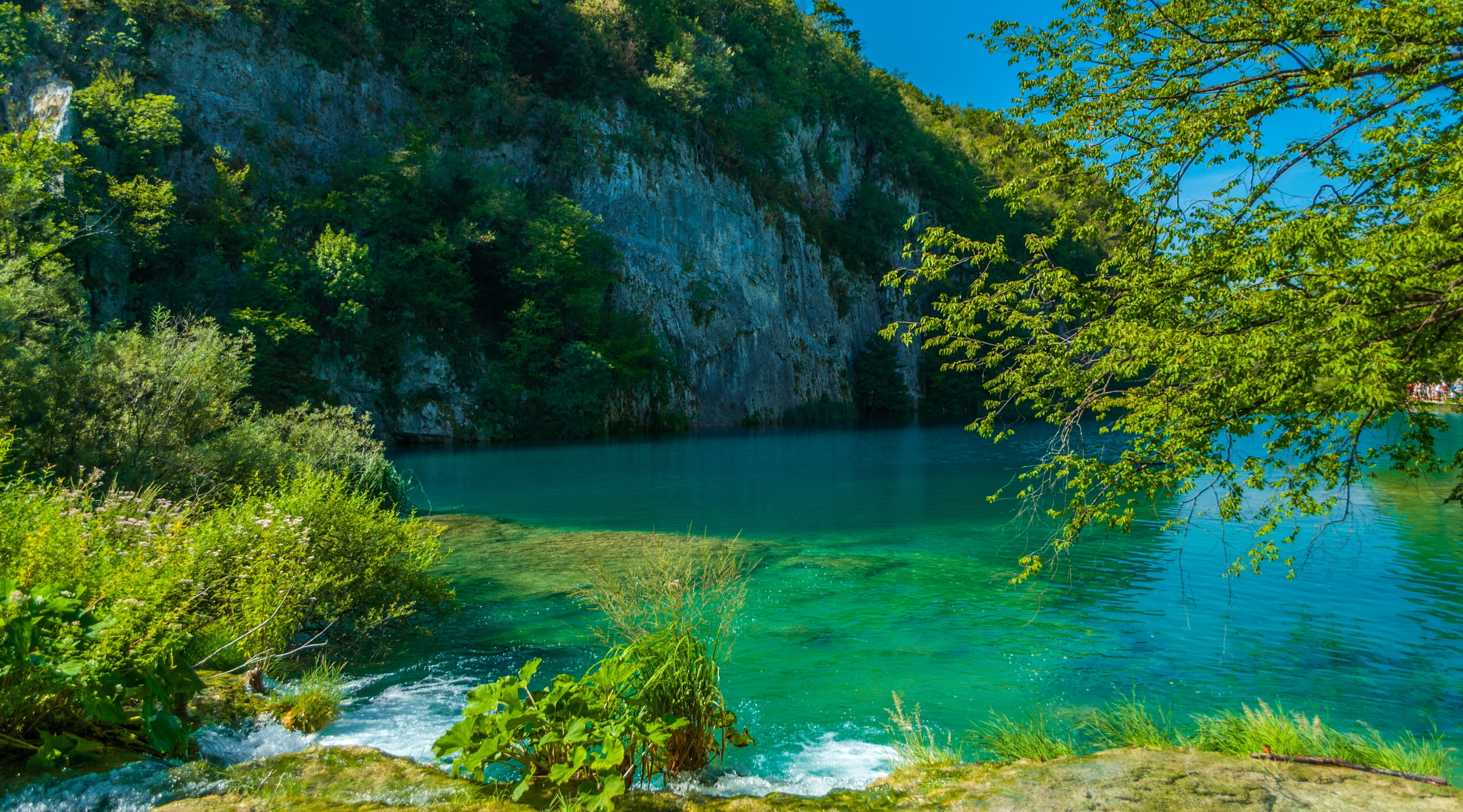 turquoise colored, plant, beauty in nature, flowing water, tree, green color, forest, outdoors, no people, nature, tranquil scene, lake, Croatia, scenics - nature, HD Wallpaper