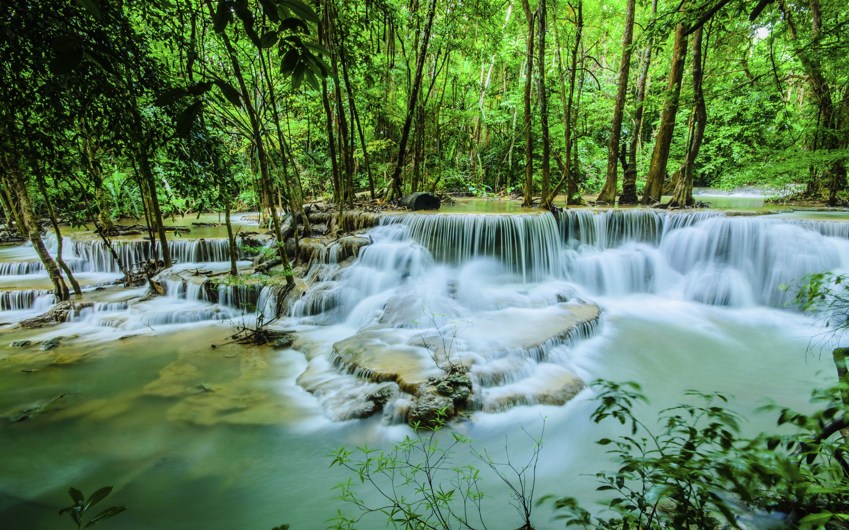 motion, day, desktop, forest, long exposure, falling water, scenics - nature, 2K, waterfall, flowing water, no people, power in nature, land, huay, water, HD Wallpaper