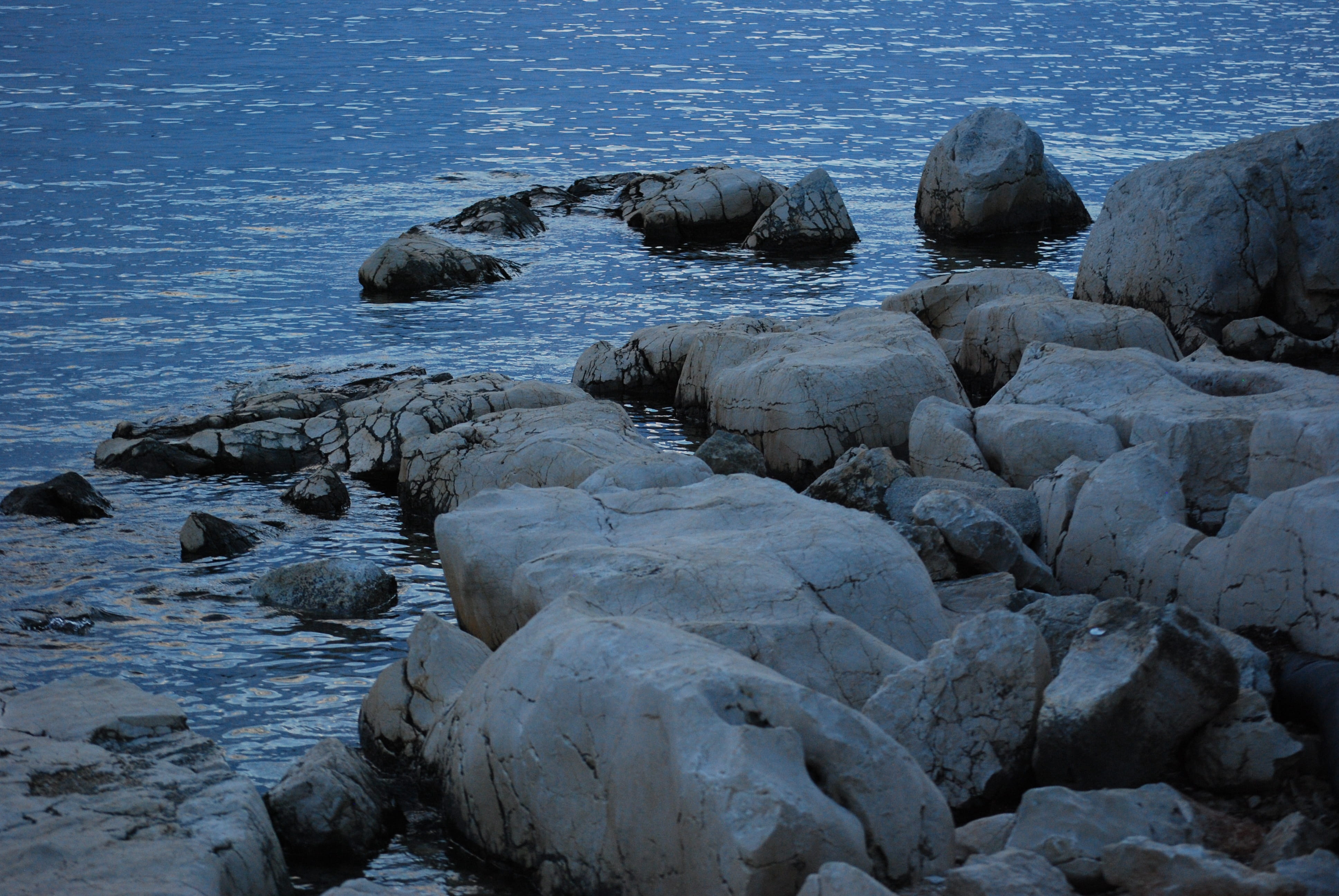 beach, water, animals in the wild, 4K, romantic, sea, rock - object, nature, landscape, tranquility, underwater, beauty in nature, rock, no people, sky, HD Wallpaper