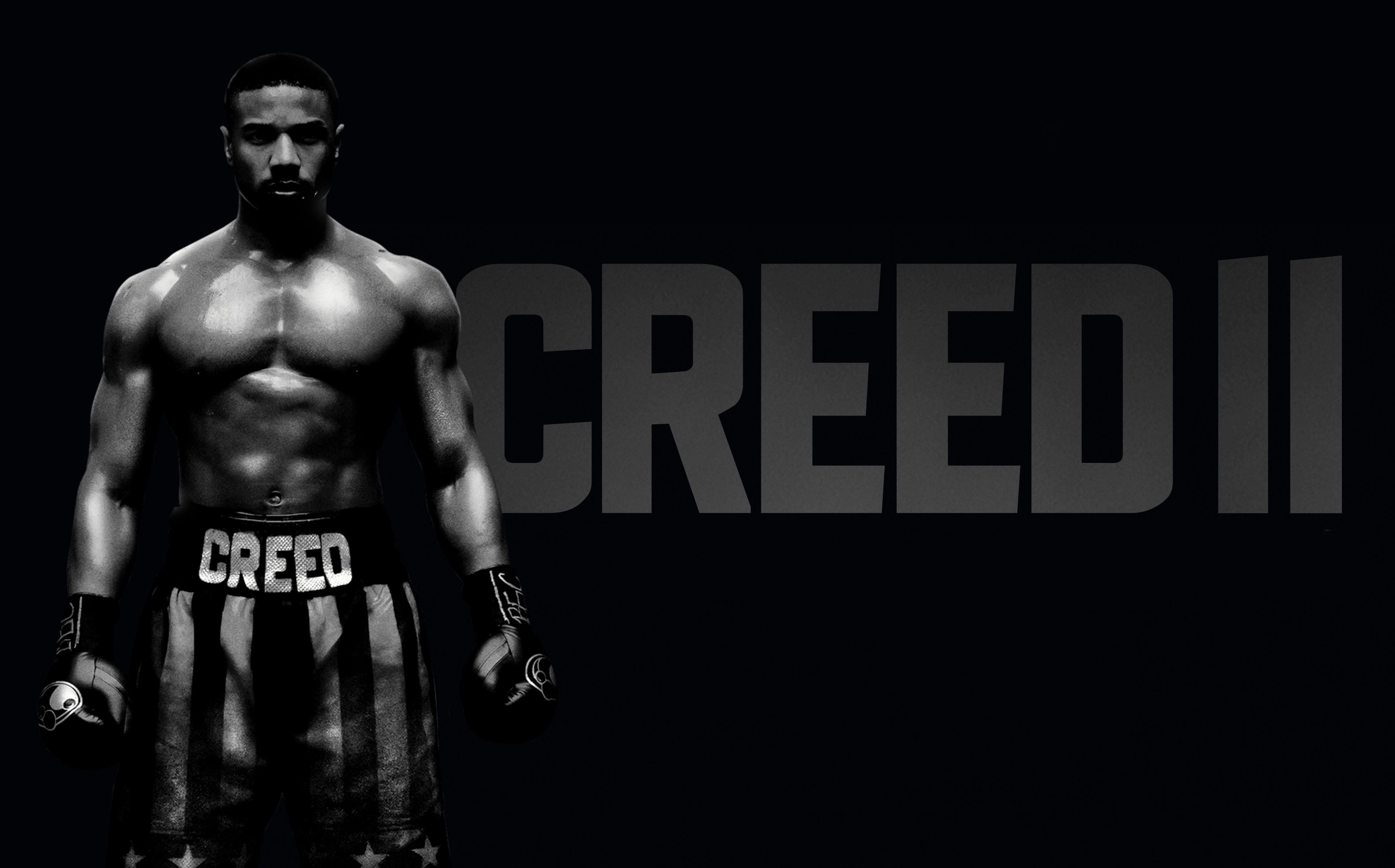 4K, Drama, 4K, 2018, Adonis Johnson, Michael B. Jordan, Creed II, Sport, Action, HD Wallpaper