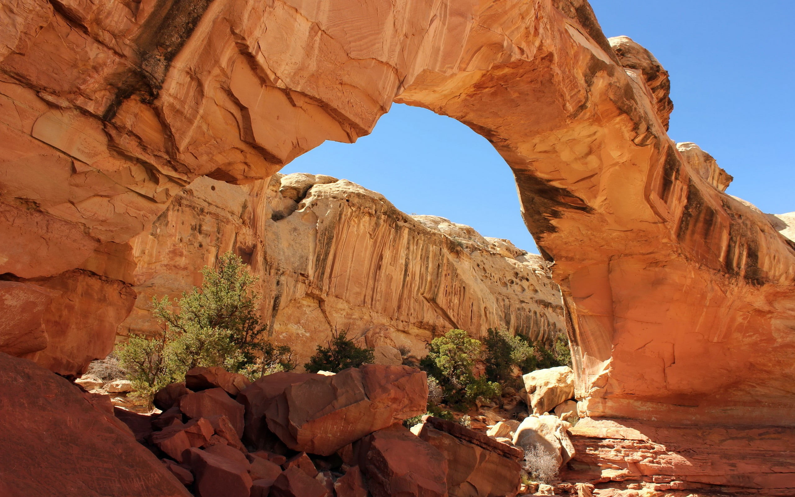 brown, rock formation, nature, structure, day, arid climate, landscape, tranquility, sandstone, travel, travel destinations, tranquil scene, climate, non-urban scene, HD Wallpaper