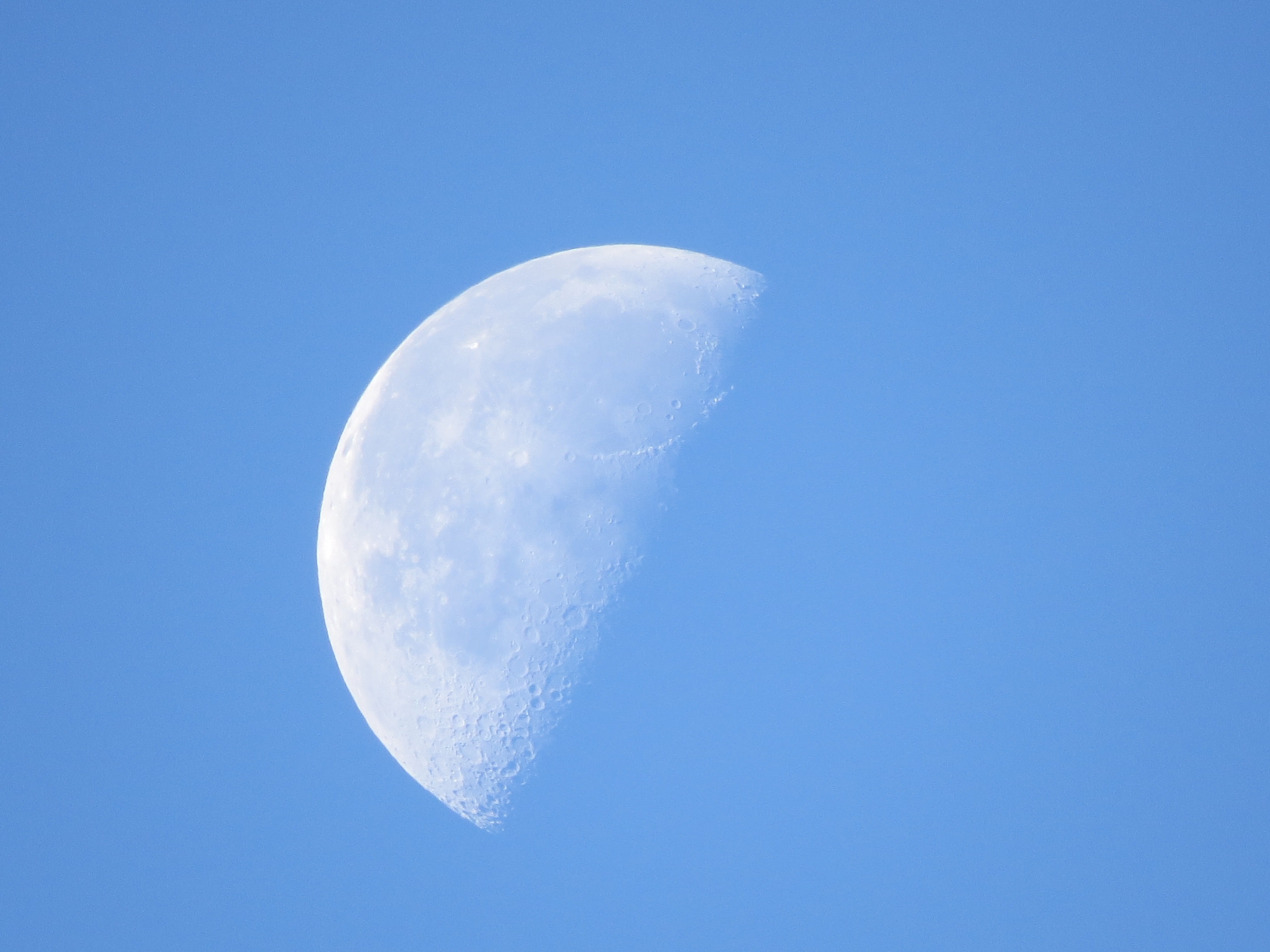 the moon by day, space, half, sky, clear sky, tranquility, planetary moon, no people, moon surface, Moon, beauty in nature, Day, copy space, astronomy, HD Wallpaper