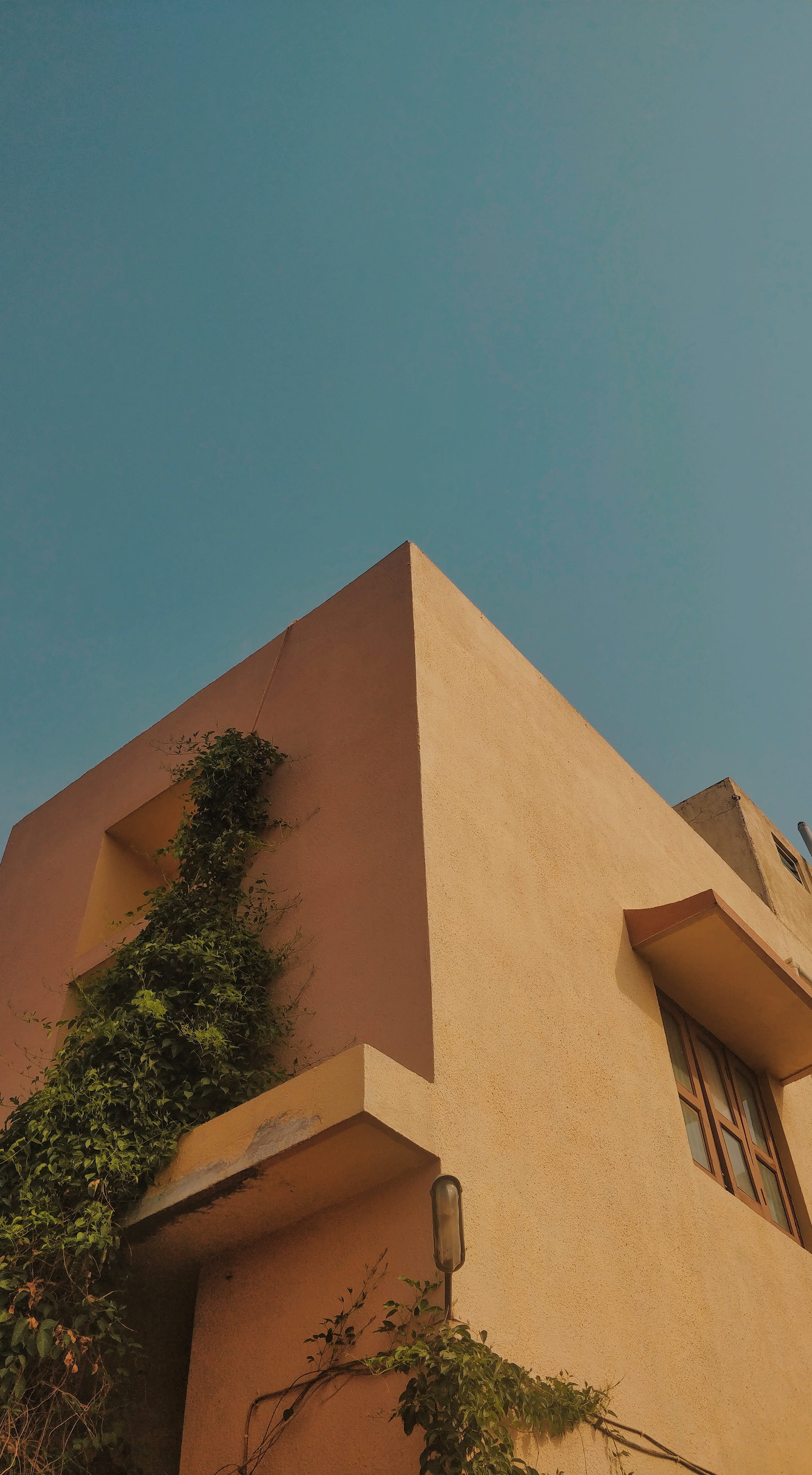 sunlight, india, the past, day, nature, plants, blue sky, architecture, plant, structure, blue, planetarium, clear sky, low angle view, roof, corner, growth, Phone HD Wallpaper