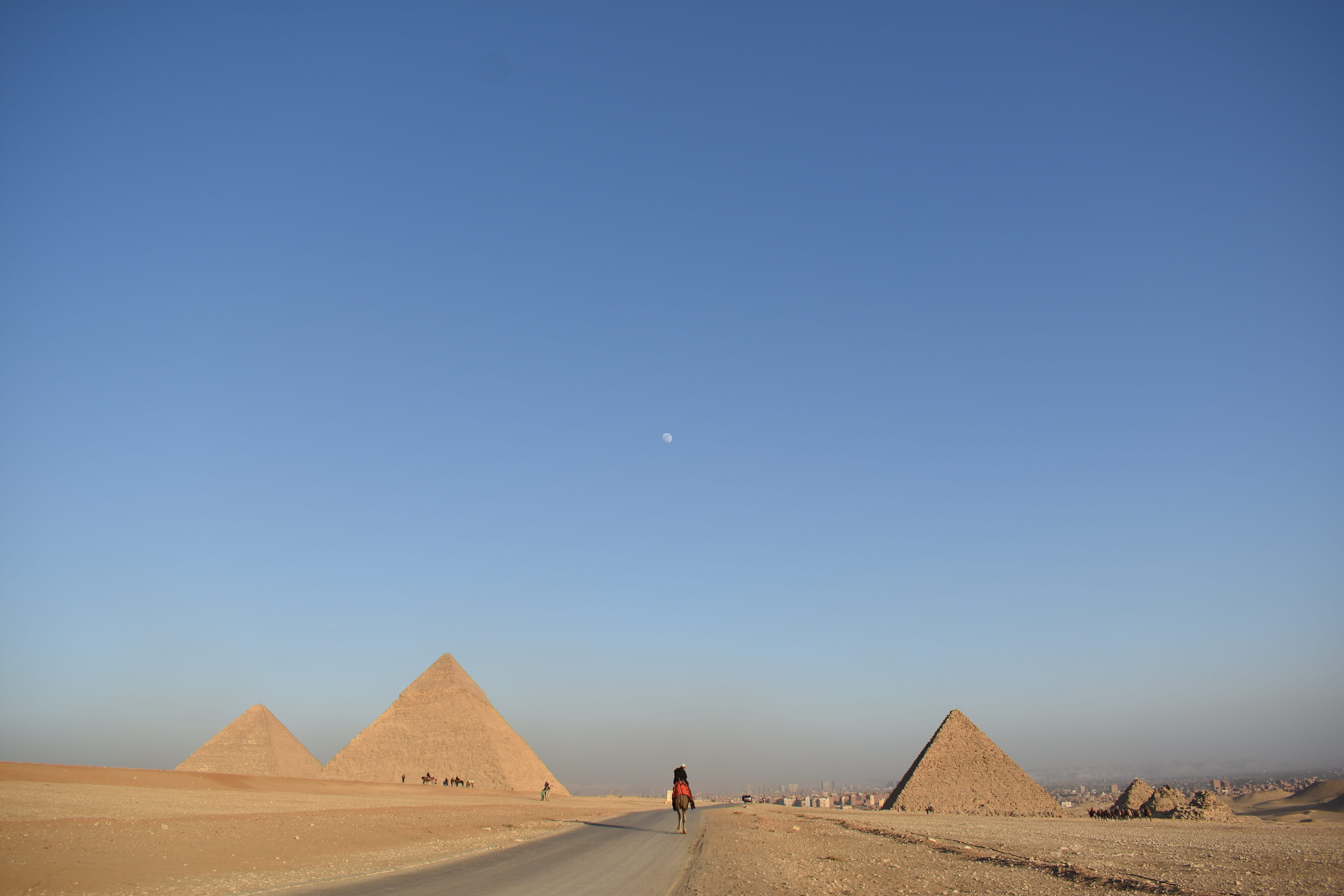 animal, arid climate, observatory, ancient civilization, mammal, building, pyramid, egypt, climate, moon, architecture, travel, pyramids, scenics - nature, HD Wallpaper