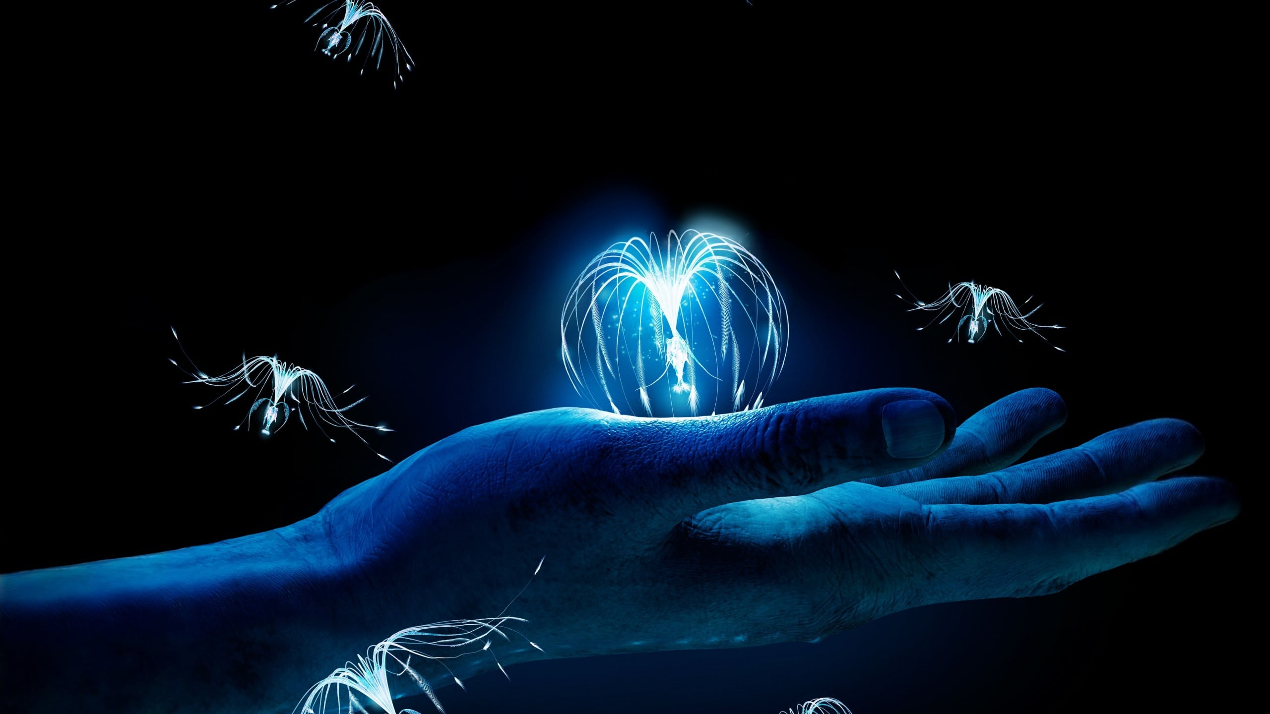 avatar, studio shot, dark, finger, touching, light, tree of souls, adult, body part, poster, hand, fantasy, human hand, Avatar (2009), black background, HD Wallpaper