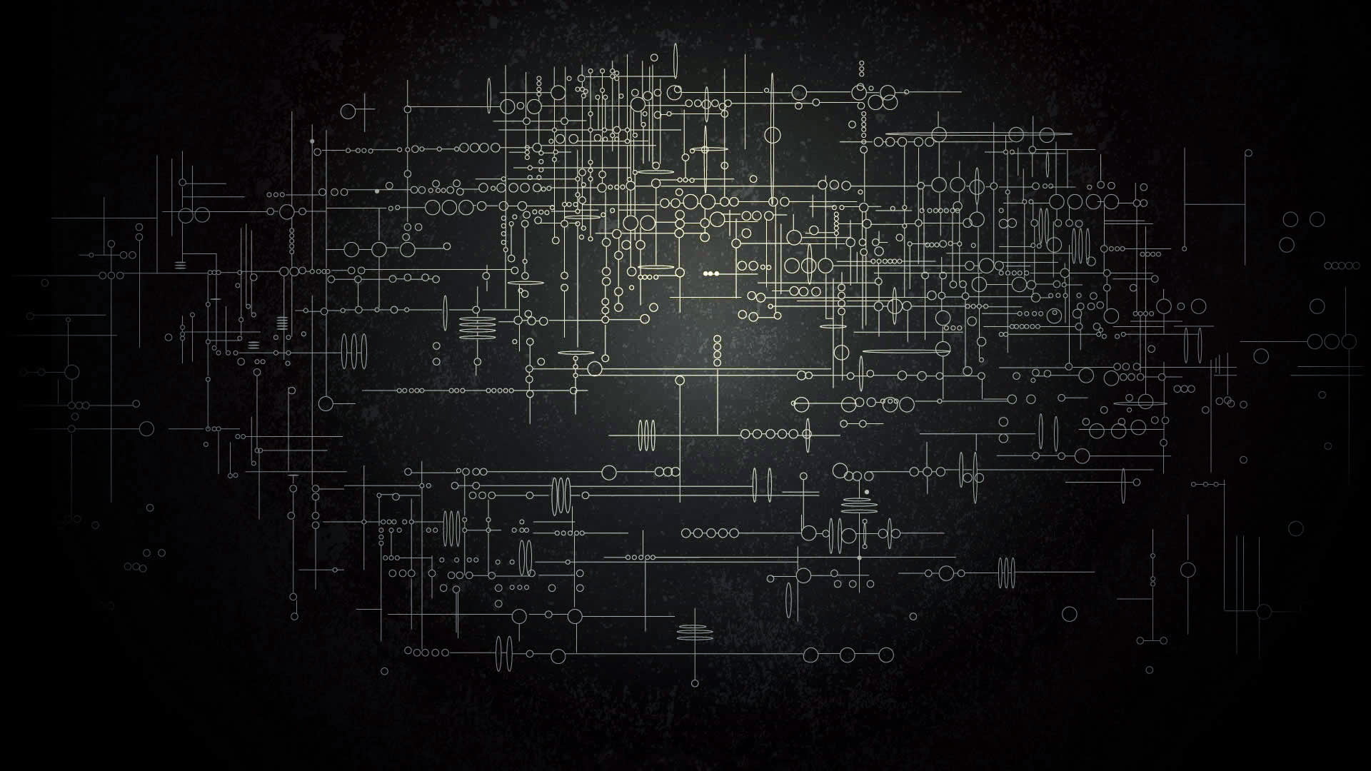 1080P, 113 Character, animation, HD Wallpaper