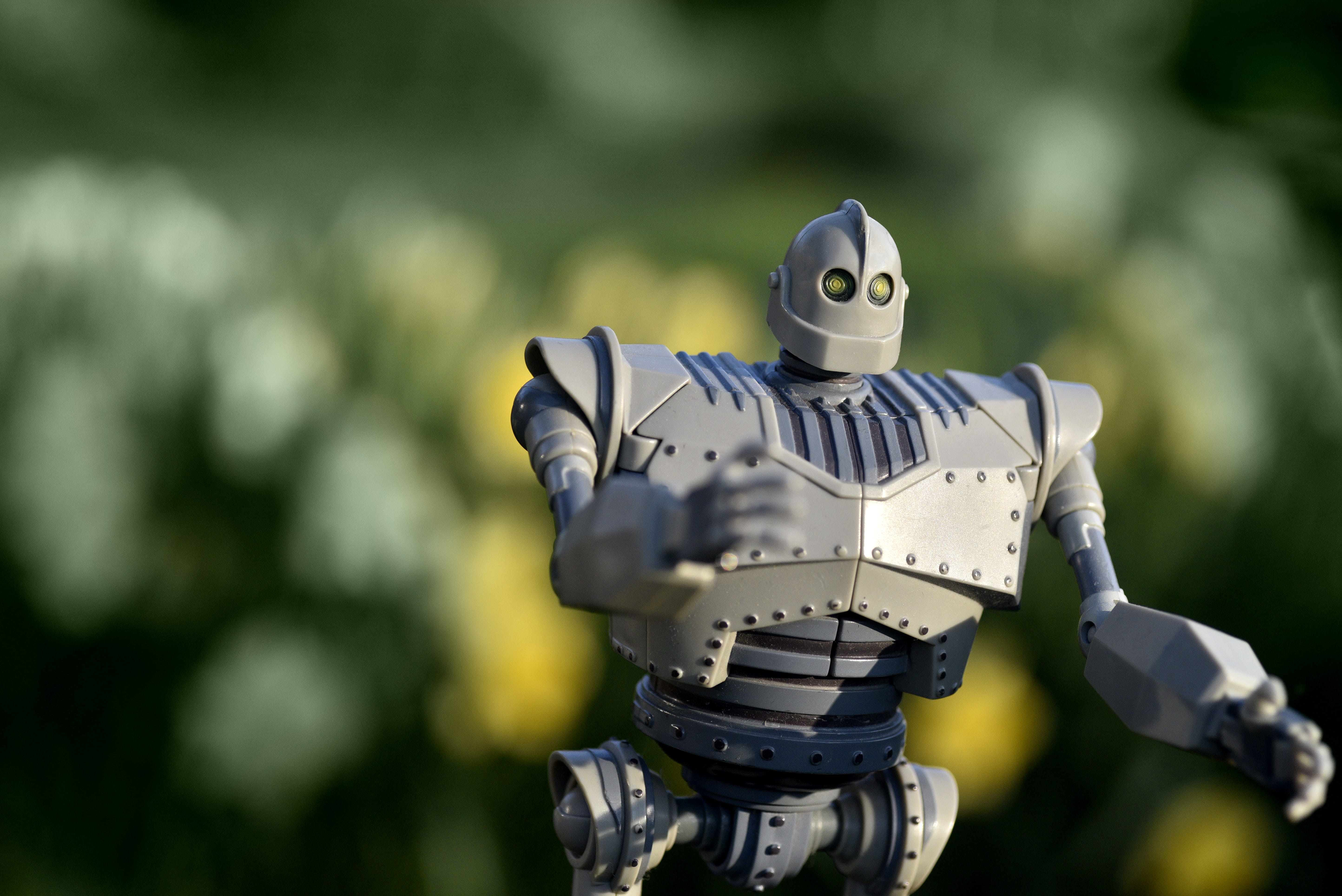 human representation, technology, nature, iron, focus on foreground, plant, close-up, unconditional, future, child, robot, representation, day, mammal, HD Wallpaper