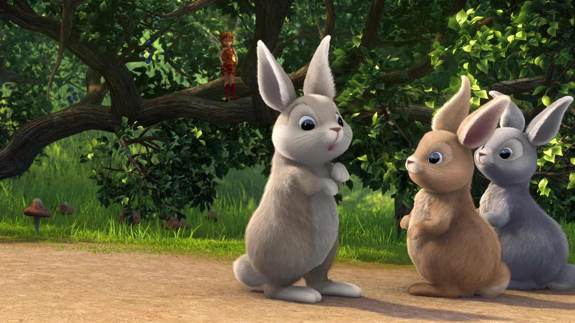1080P, plant, toy, no people, tree, mammal, rabbit - animal, growth, animal, animal themes, animal wildlife, vertebrate, day, nature, group of animals, HD Wallpaper