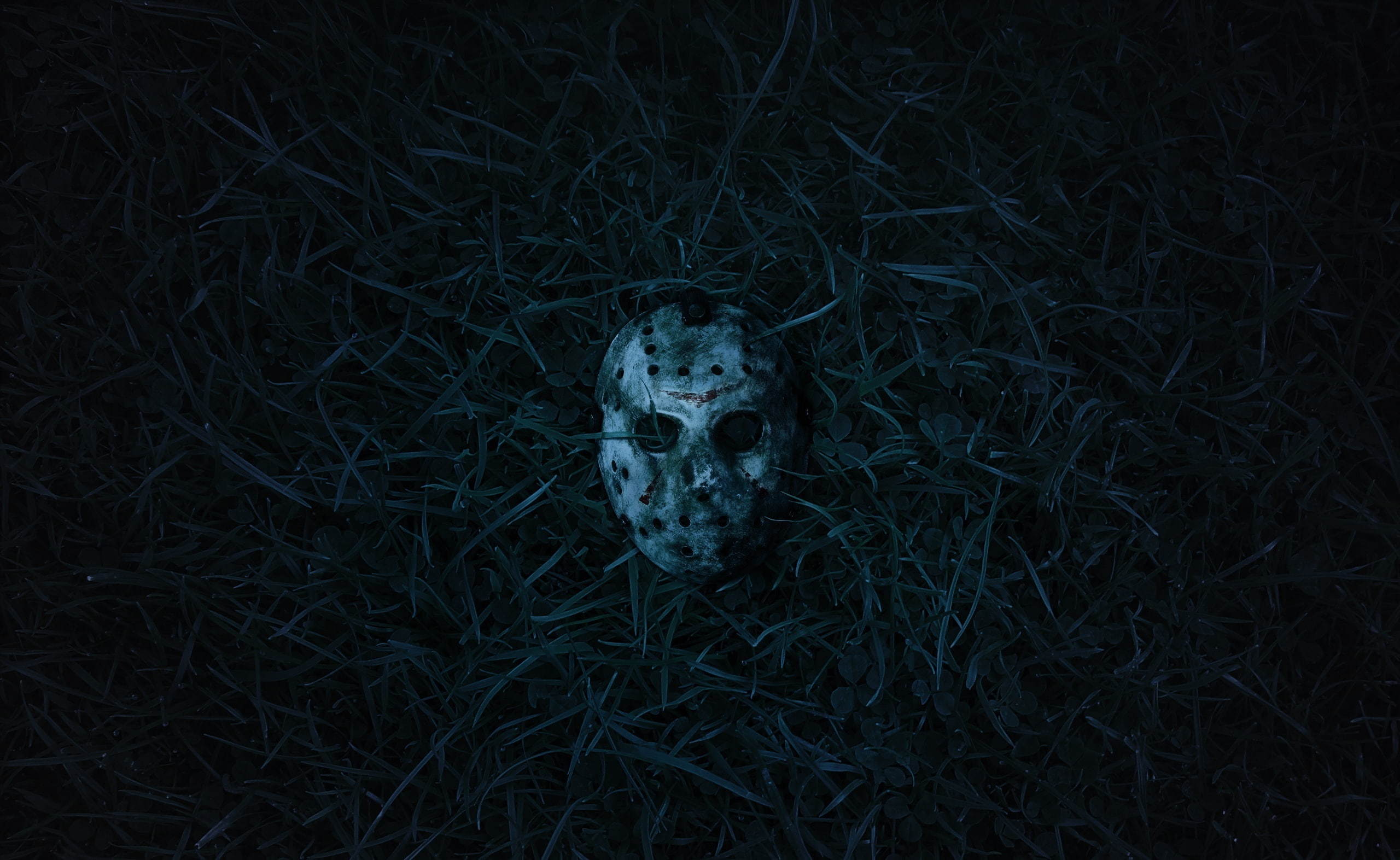 high angle view, looking at camera, field, dark, nature, no people, jason, portrait, land, 2K, lake, crystal, human representation, fear, Other Movies, HD Wallpaper