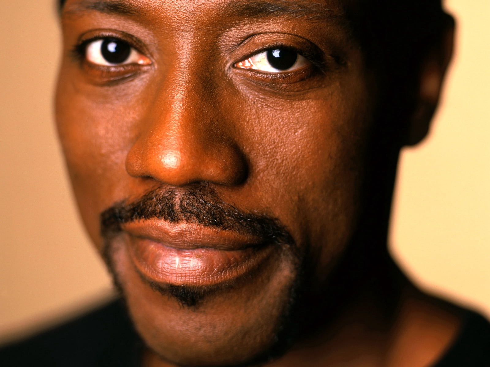 wesley snipes, 720P, smile, looking, african Ethnicity, cheerful, beautiful People, portrait, brown-eyed, serious, face, headshot, females, people, adults Only, HD Wallpaper