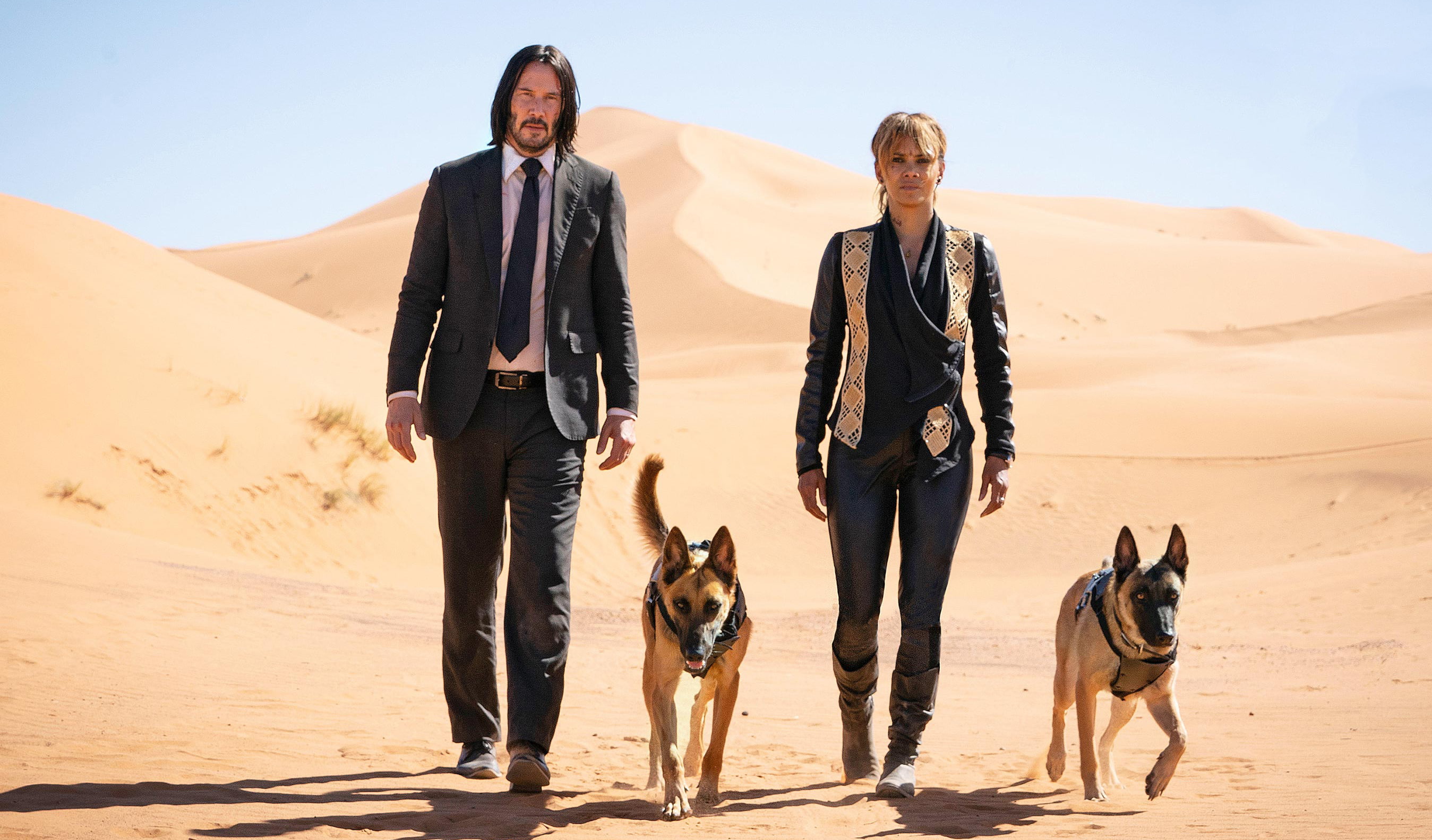 movie, reeves, 2K, keanu, berry, wick, halle, john, HD Wallpaper