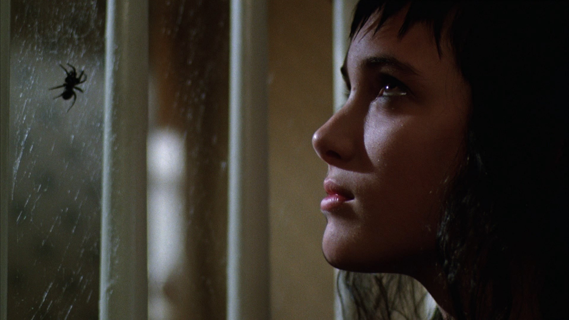 dark, adult, hopelessness, looking through window, despair, contemplation, looking, profile view, watching, sadness, emotion, females, young adult, body part, HD Wallpaper