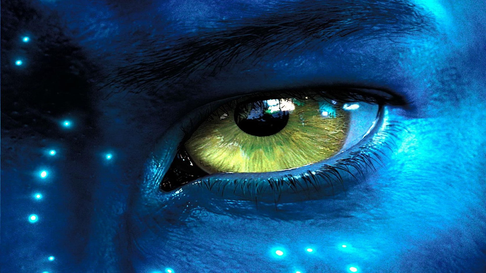animal eye, adult, eyebrow, extreme close-up, 1080P, blue eyes, eyelash, blue, eyesight, portrait, night, iris - eye, movies avatar, sensory perception, HD Wallpaper