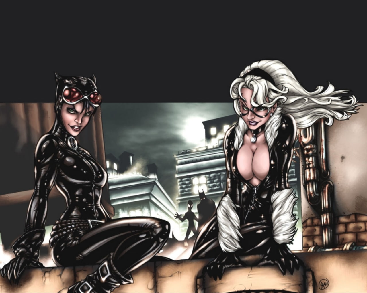 animals, catwoman, hd, art, selina, x, cat, comics, DC comics, kyle, 720P, cats, catsuit, dc, black, marvel, black cat, HD Wallpaper