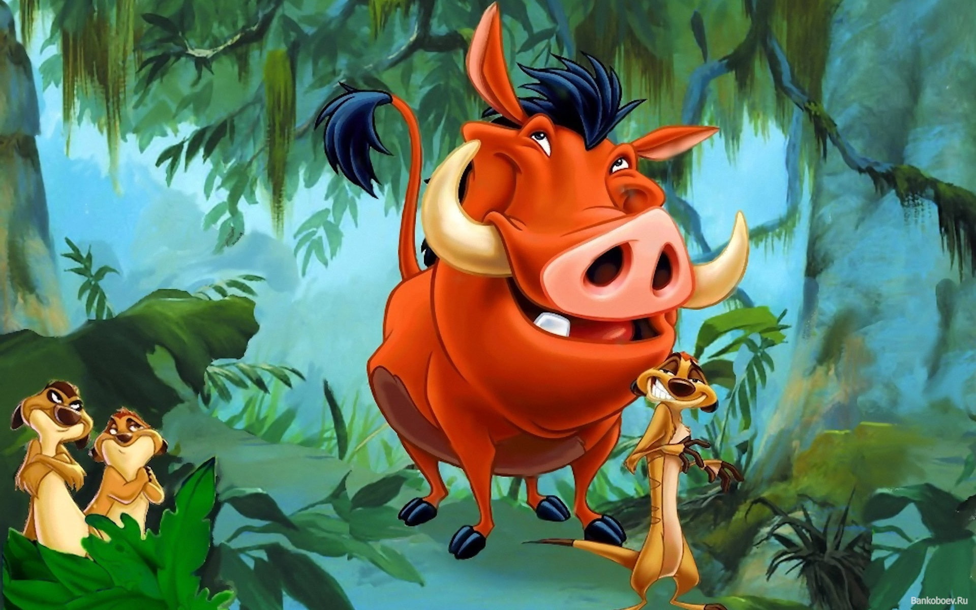 timon, turtle, cartoon, 1080P, 1920x1200, powerful, pumbaa, Ninja, cartoons, HD Wallpaper