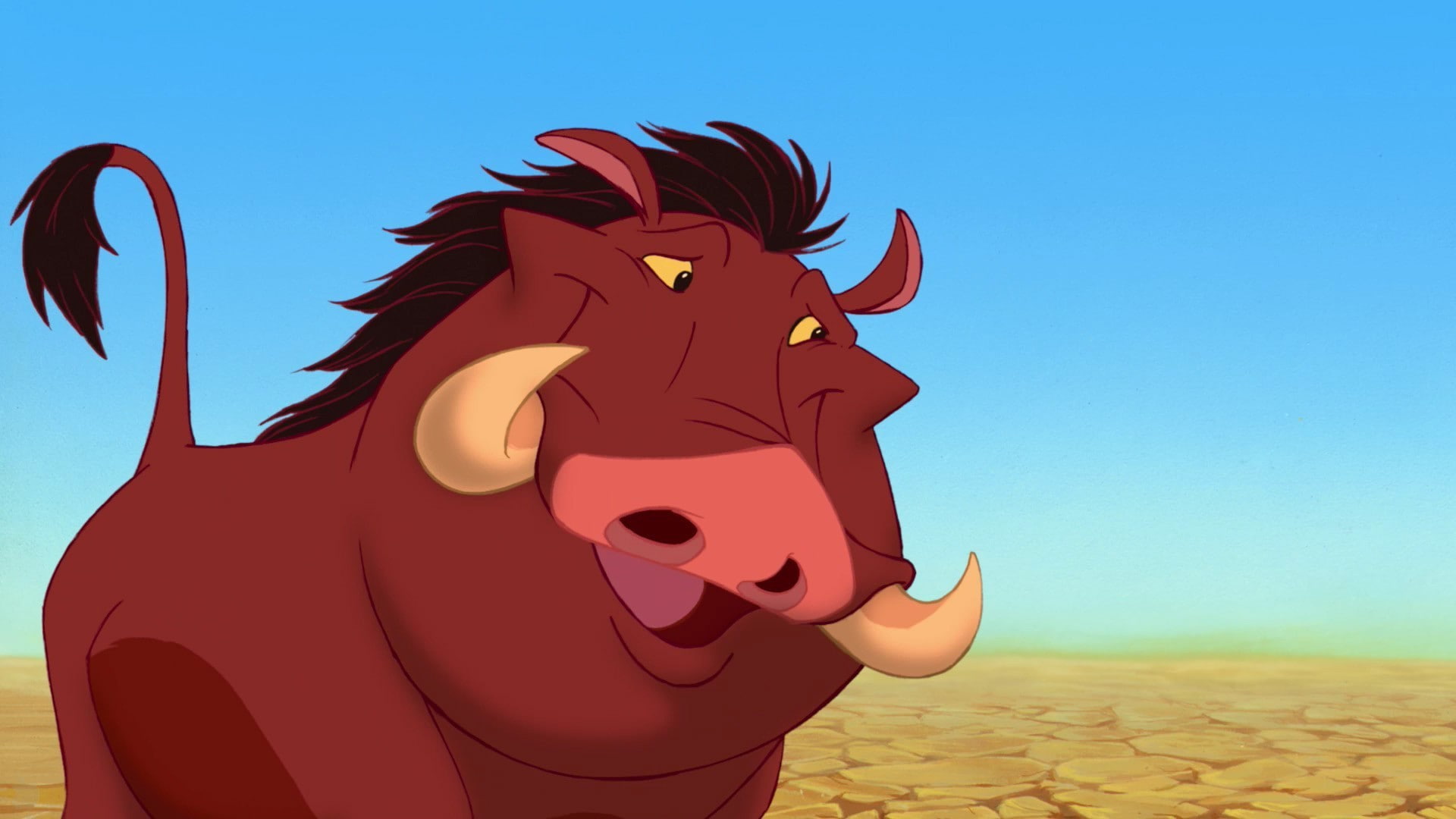 Pumba, 1080P, movies, Disney, HD Wallpaper