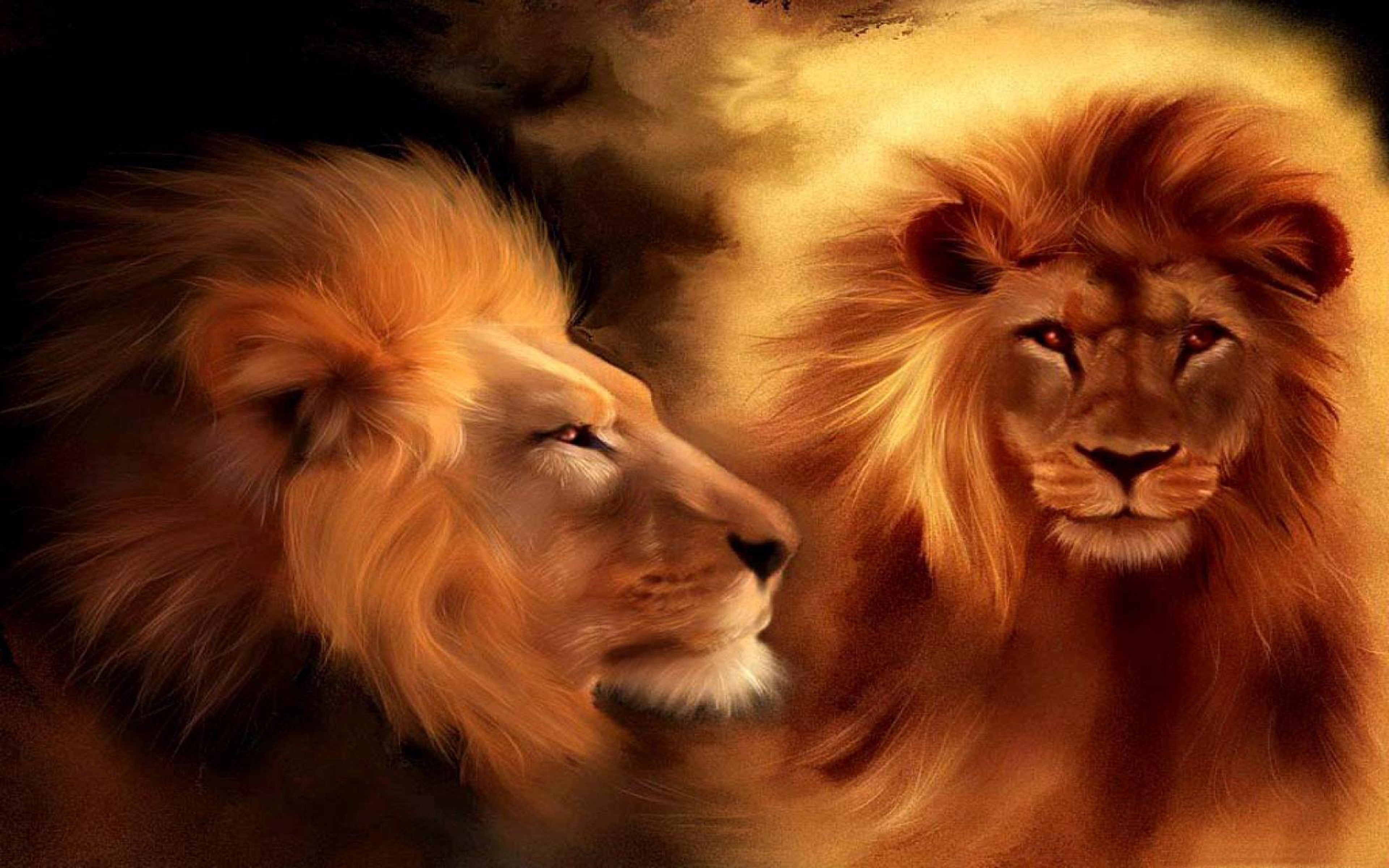 4K, king, beasts, lion, HD Wallpaper