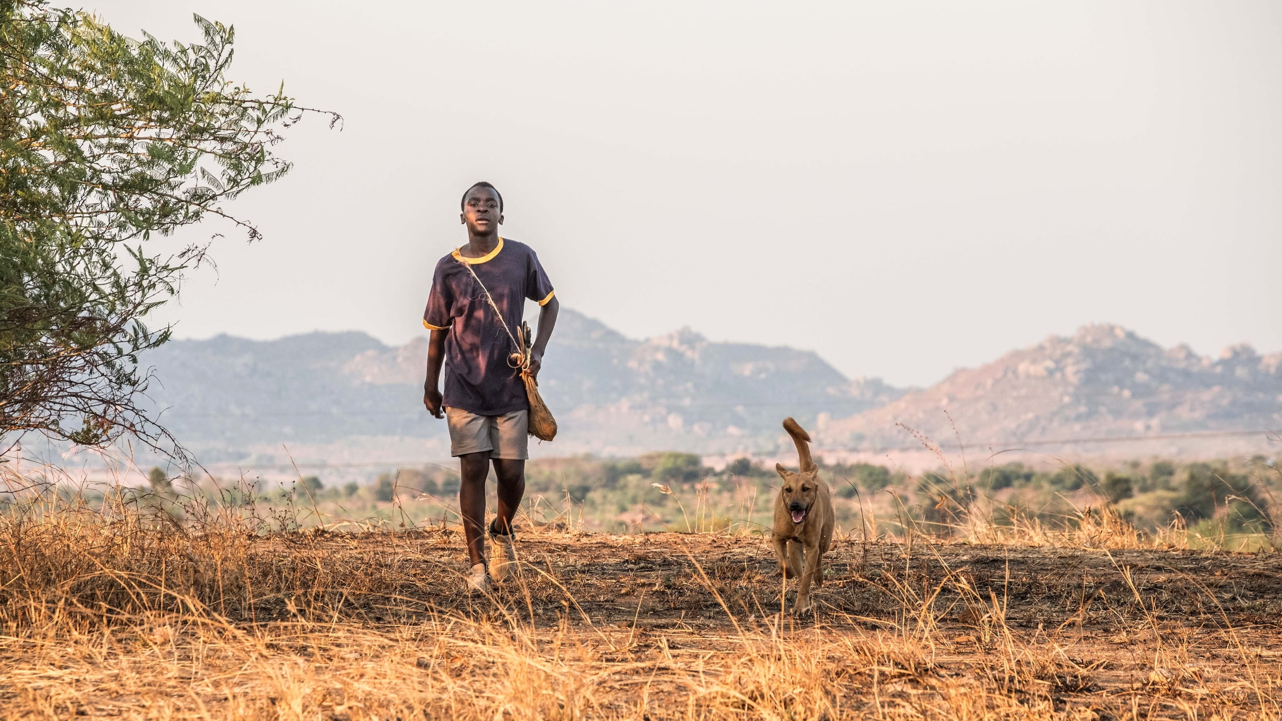 2K, The Boy Who Harnessed the Wind, Maxwell Simba, Movie, HD Wallpaper
