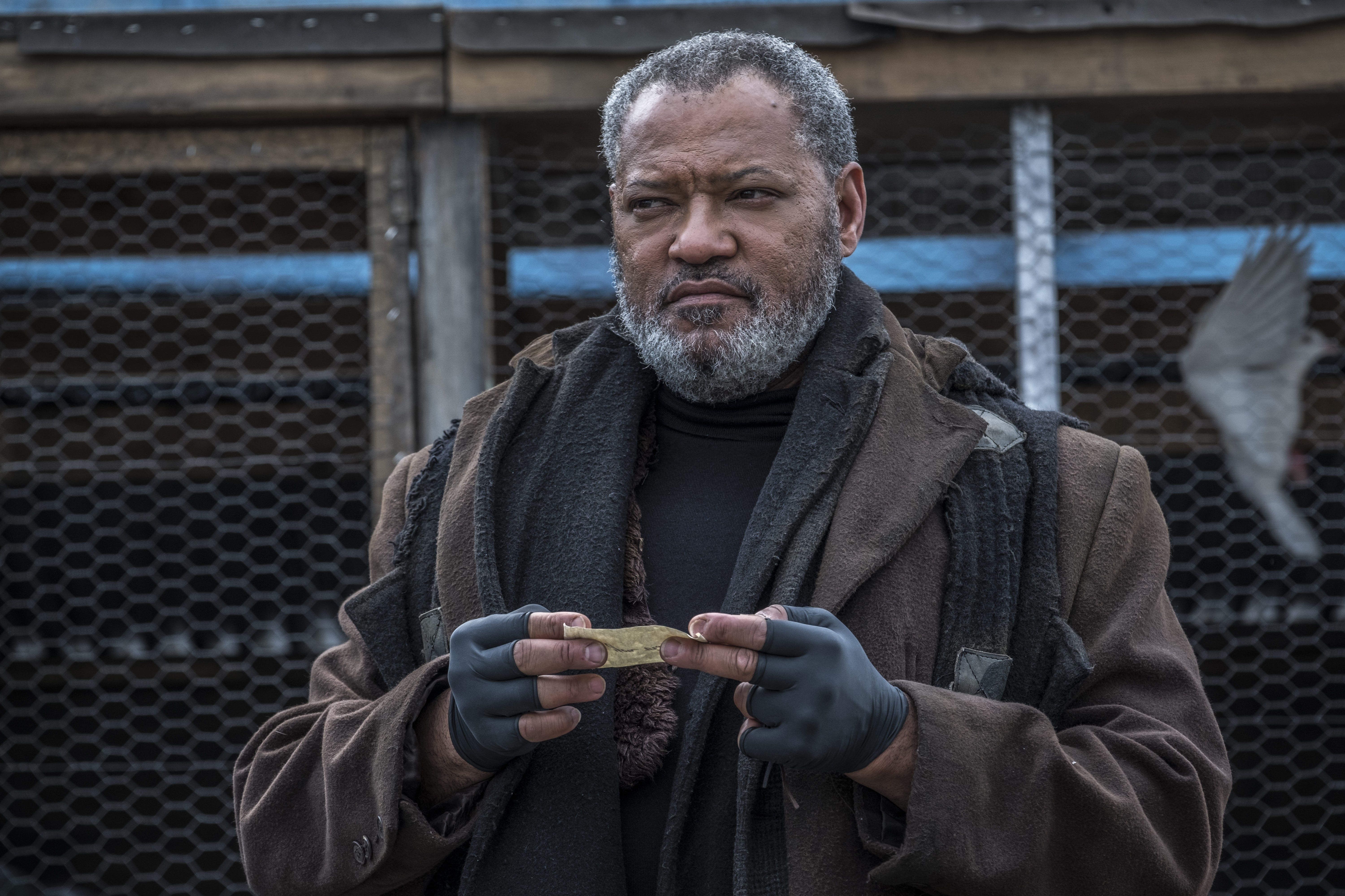 5K, John Wick: Chapter 3 – Parabellum, Laurence Fishburne, Movie, HD Wallpaper