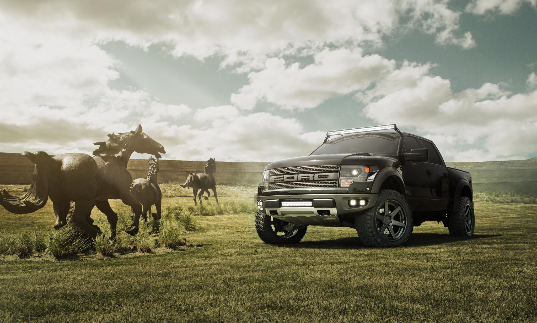 sport, 4x4, sports Utility Vehicle, day, Ford, road, nature, animal, dirt Road, vertebrate, farm, livestock, mode of transportation, black, car, mammal, HD Wallpaper