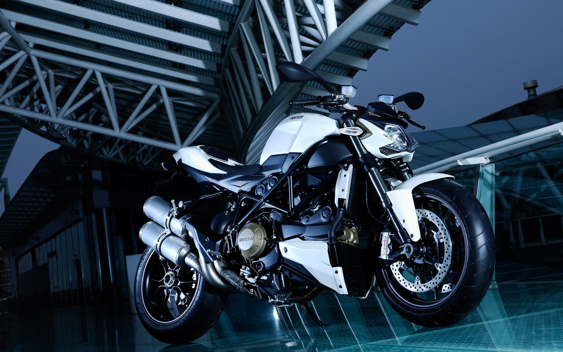 cool, black, 1080P, motorcycle, white, white motorcycle, bike, sport, ducati, HD Wallpaper