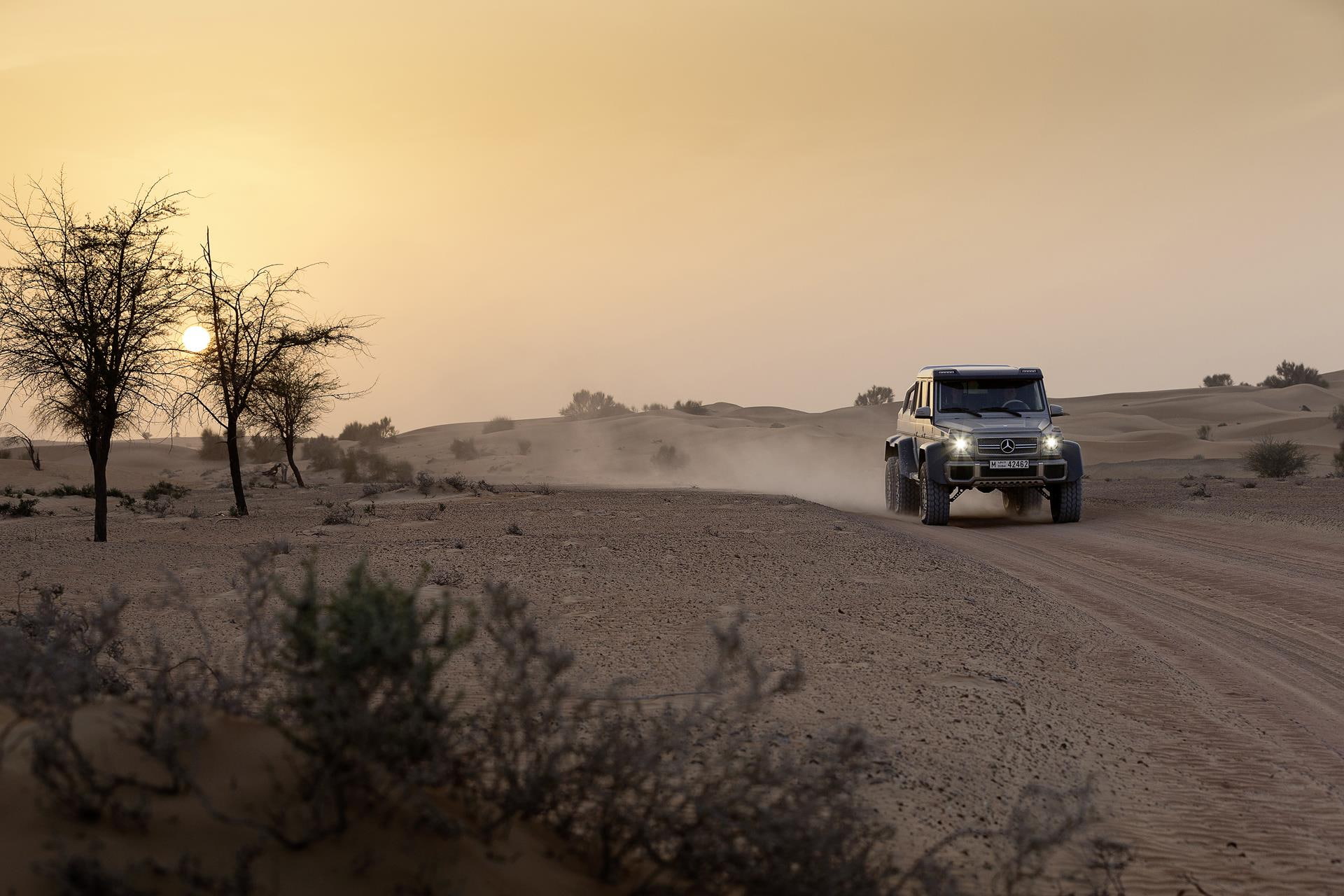 x, tree, 1080P, beauty in nature, land, nature, environment, field, desert, scenics - nature, plant, outdoors, arid climate, class, sunset, mercedes, clear sky, HD Wallpaper