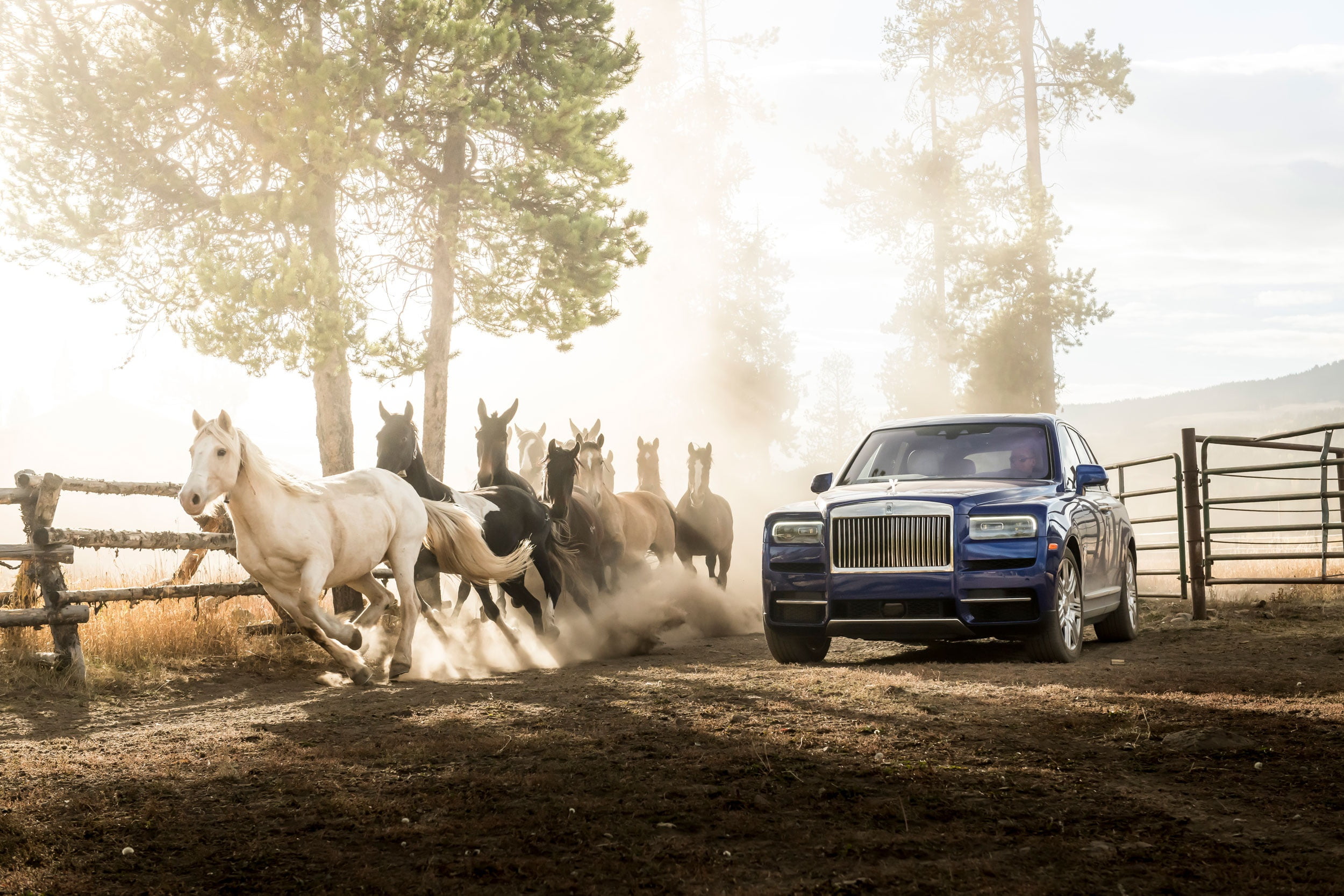 callinan, 1080P, rolls-Royce, horse, cullinan, HD Wallpaper