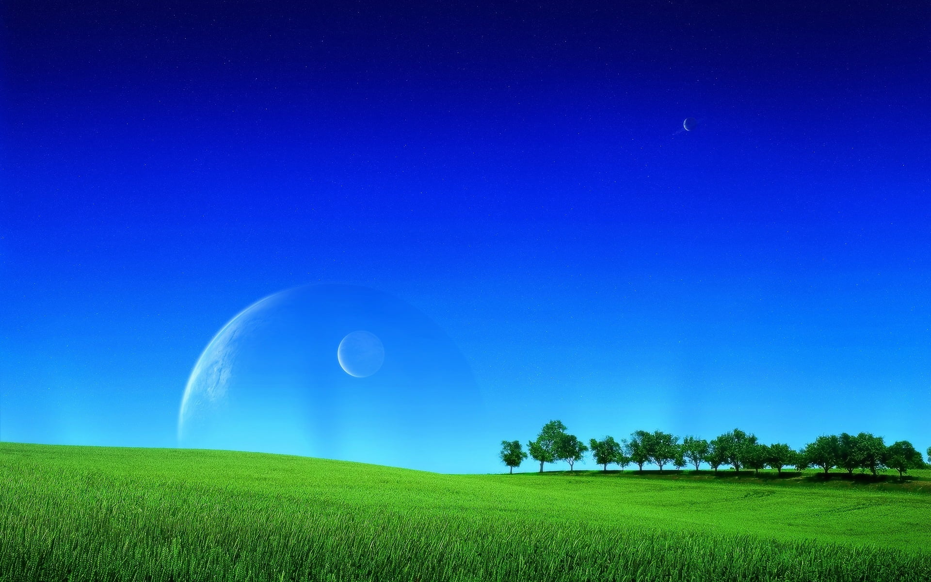 pasture, plant, freshness, sun, copy space, non-Urban Scene, vibrant Color, nature, springtime, tree, bright, meadow, season, grass, blue, landscaped, idyllic, HD Wallpaper