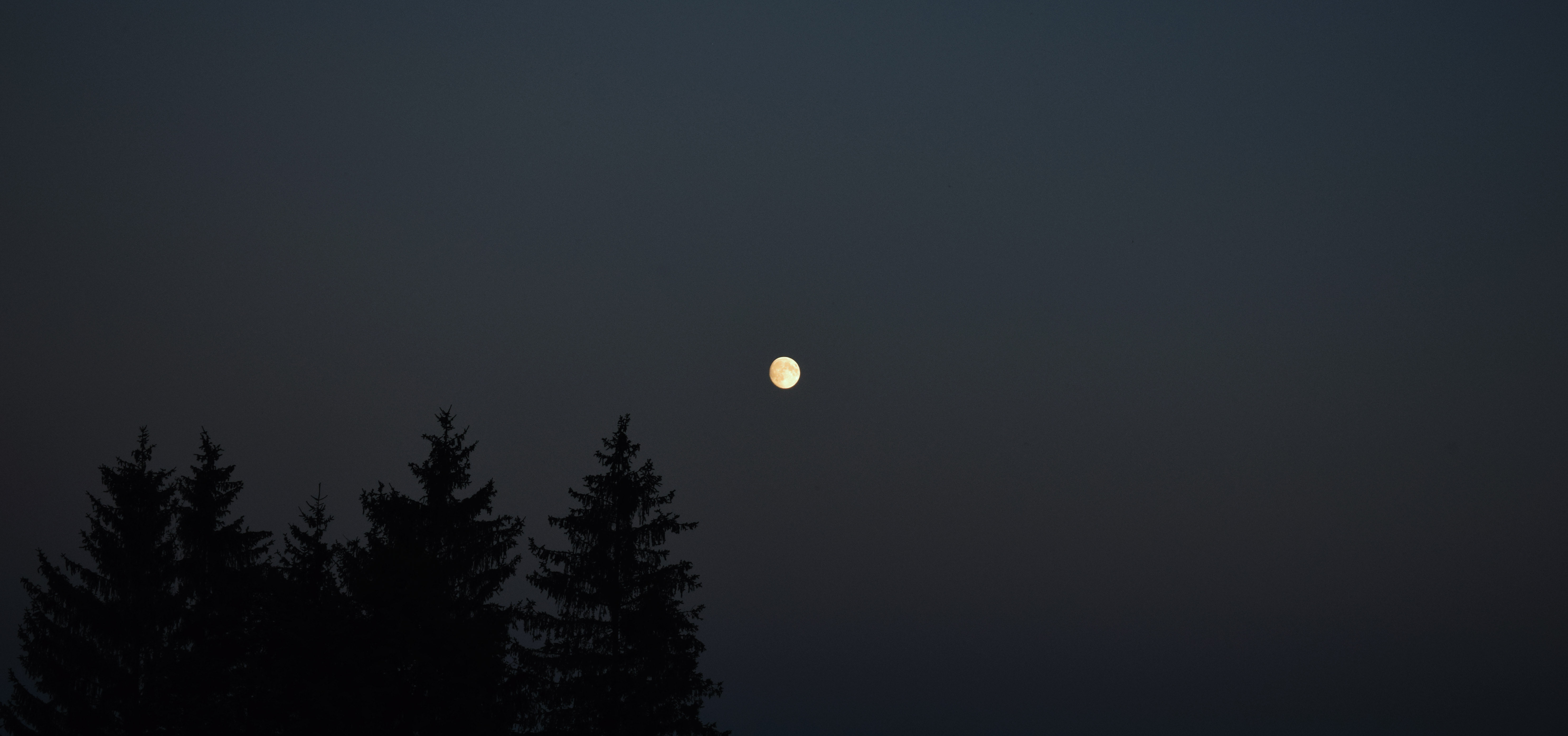 beauty in nature, dark, tranquility, outdoors, idyllic, plant, copy space, astronomy, nature, sunset, tree, silhouette, tranquil scene, space, full moon, HD Wallpaper