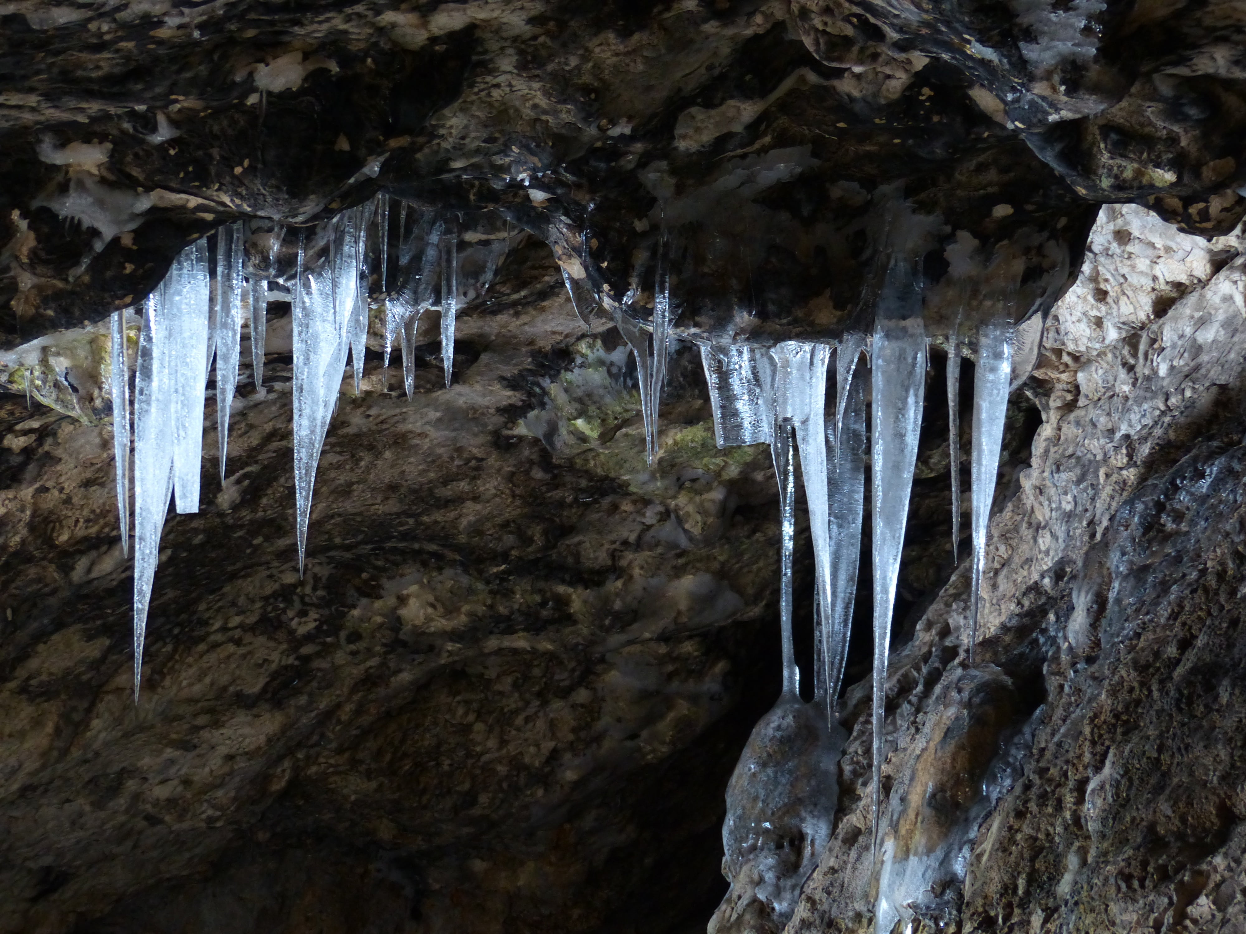 bird stove cave, niederstotzingen, angle, photo, icicle, beauty in nature, rock - object, flowing, falling water, water, karst cave, day, cave, lonetal, HD Wallpaper