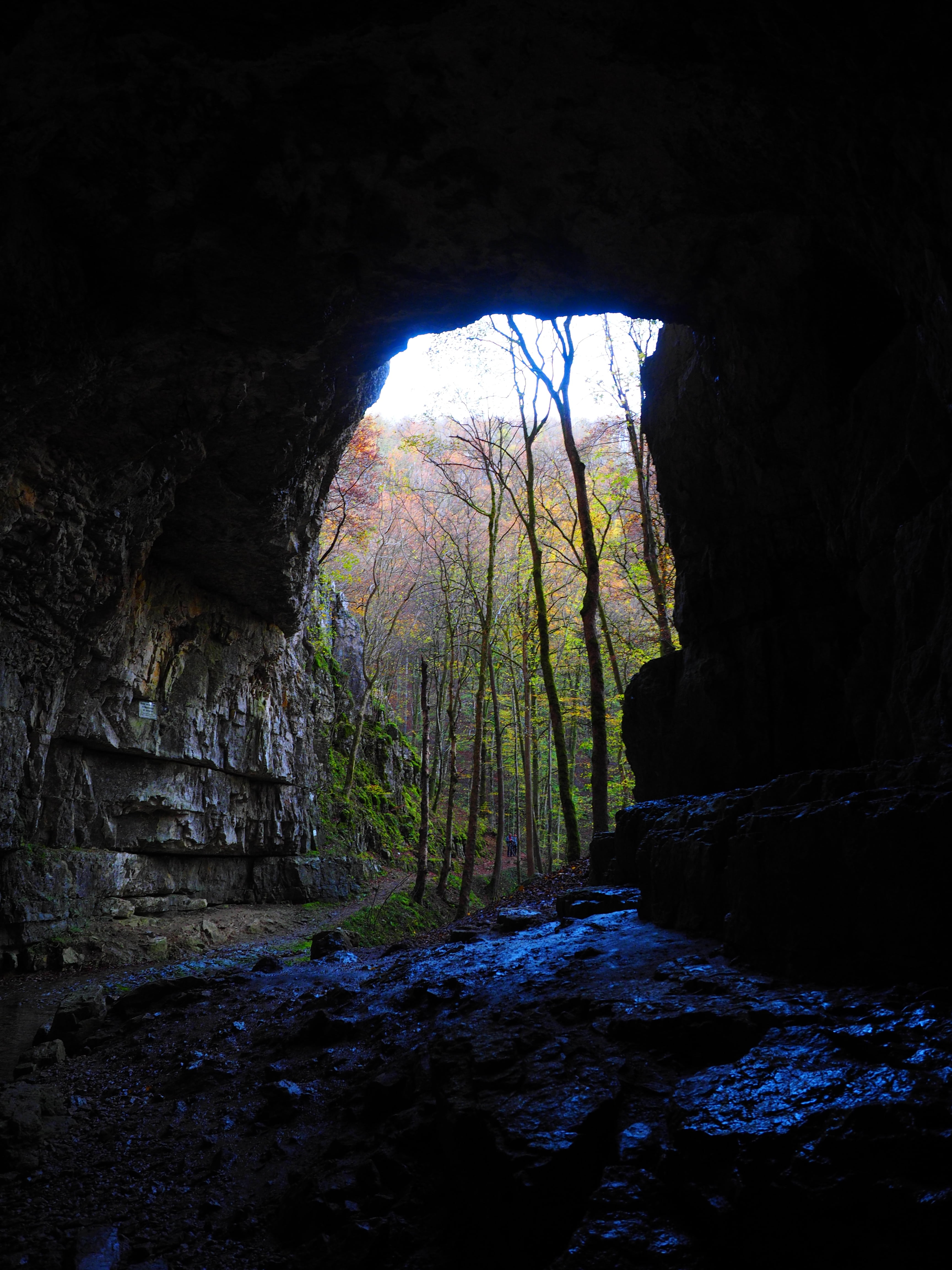 beauty in nature, indoors, eroded, scenics - nature, impressive, forest, gigantic, grave stetten, migratory goal, land, dark, baden württemberg, water cave, Phone HD Wallpaper