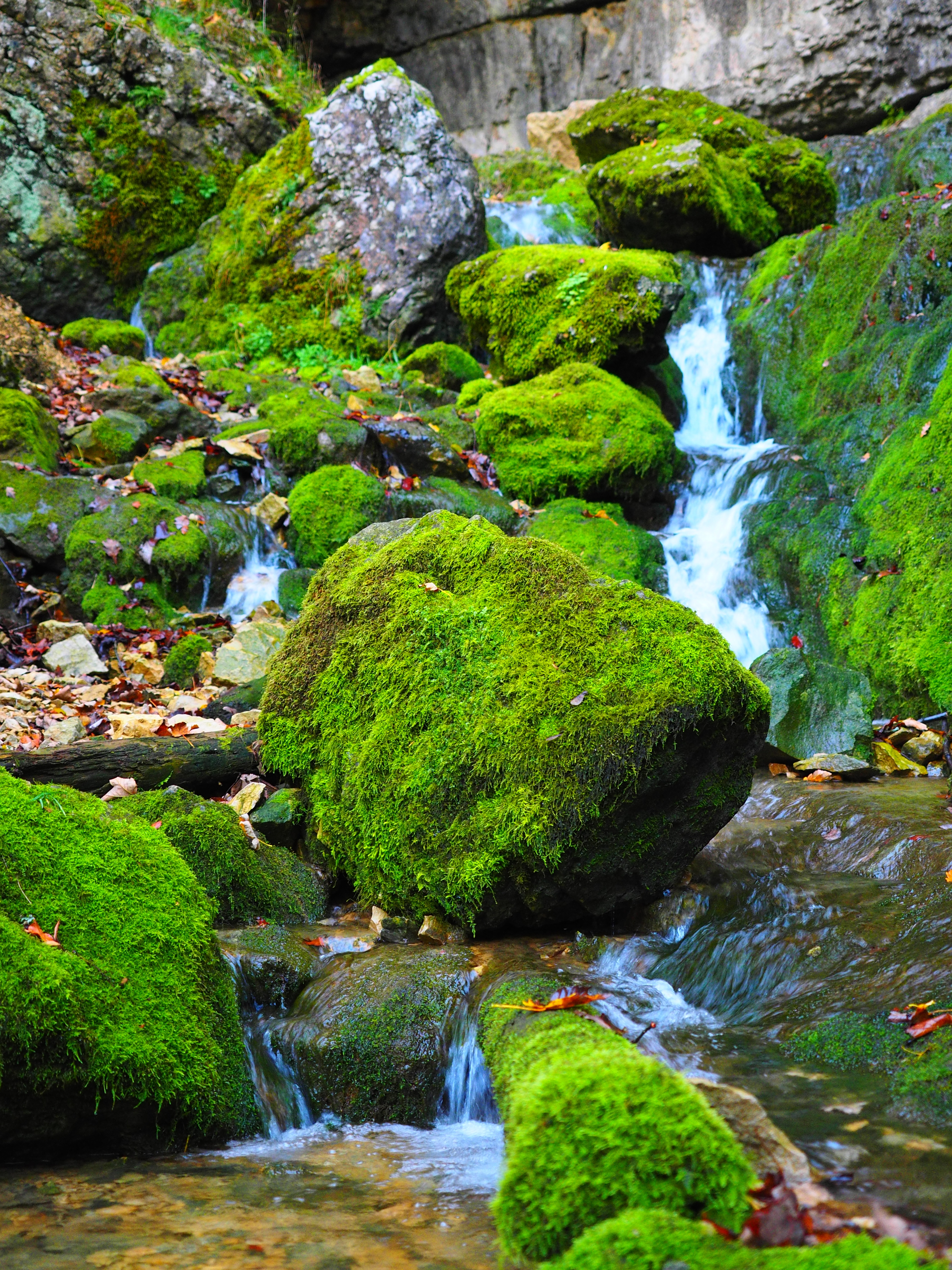 grave stetten, flowing water, bad urach, no people, rock, water, bemoost, elsach, palustriella commutata, laubmoos, amblystegiaceae, flowing, close, vulgar strong nerve moss, Phone HD Wallpaper