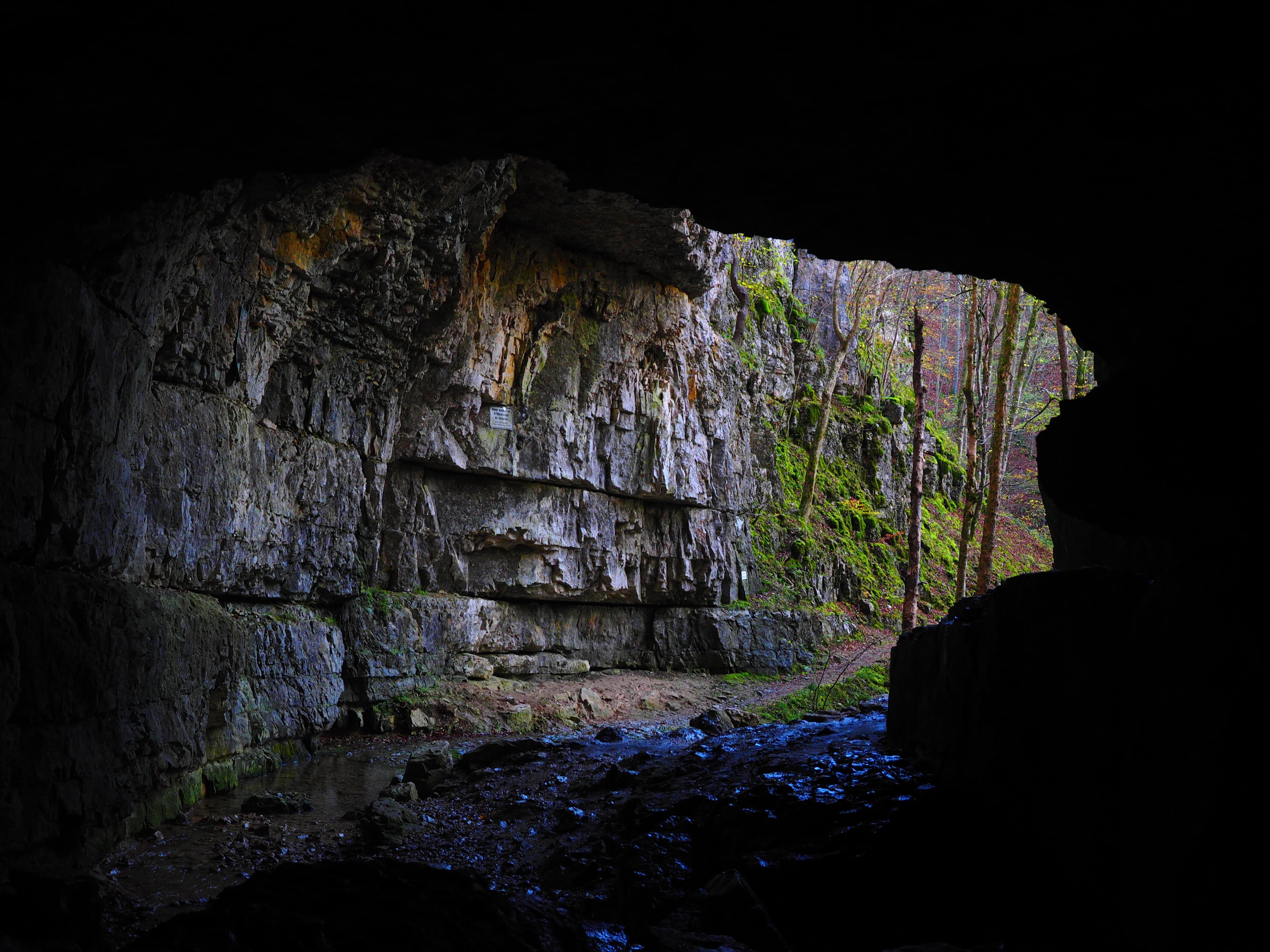 bad urach, scenics - nature, non-urban scene, solid, travel, gorge, swabian alb, forest, rock formation, rock, caves portal, tranquility, nature, outdoors, HD Wallpaper