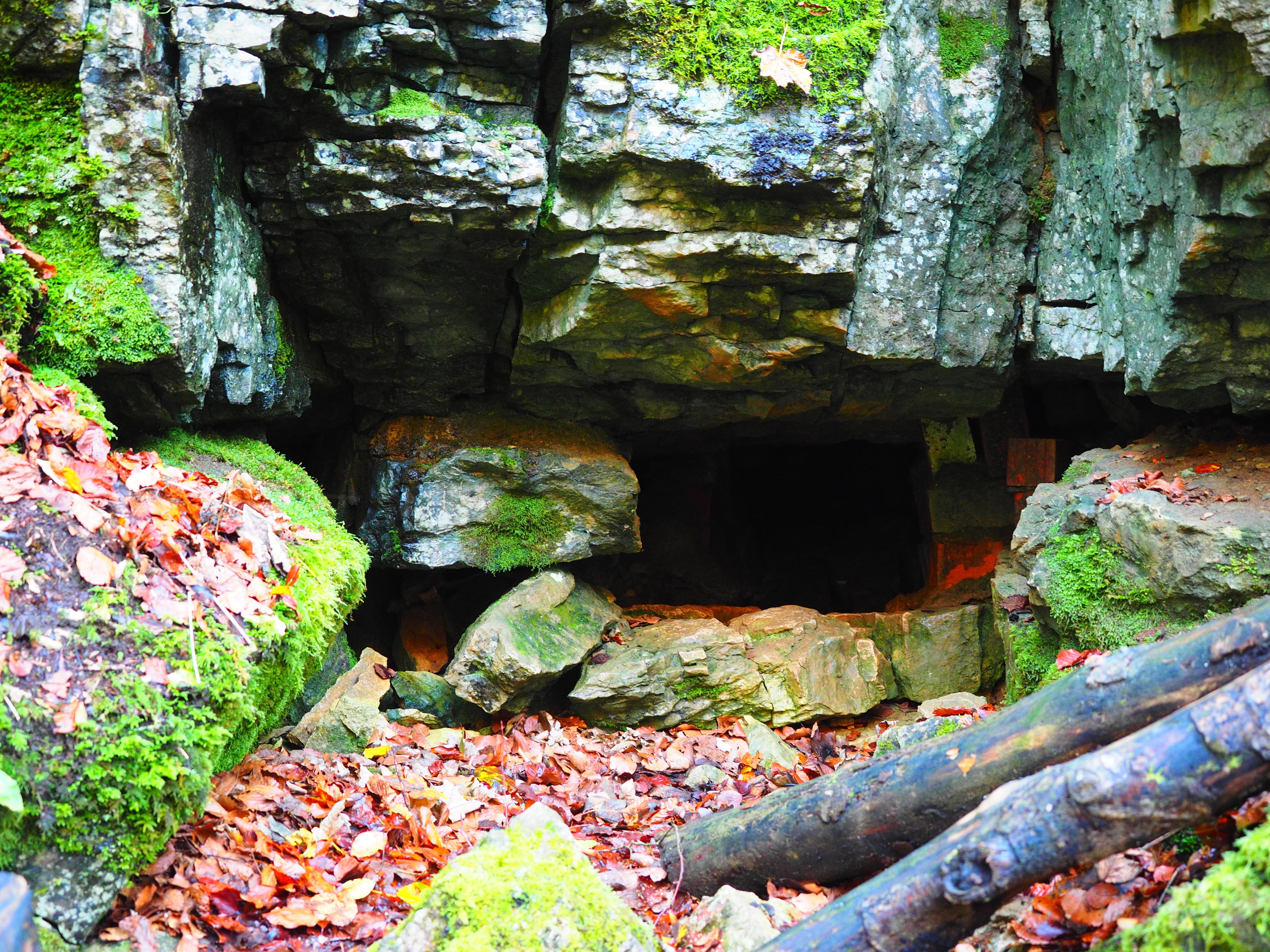 4K, bad urach, elsachbröller, abandoned, clammy, cave, cavity, eng, baden württemberg, day, cave tour, gorge, no people, swabian alb, plant, rock, tree, HD Wallpaper