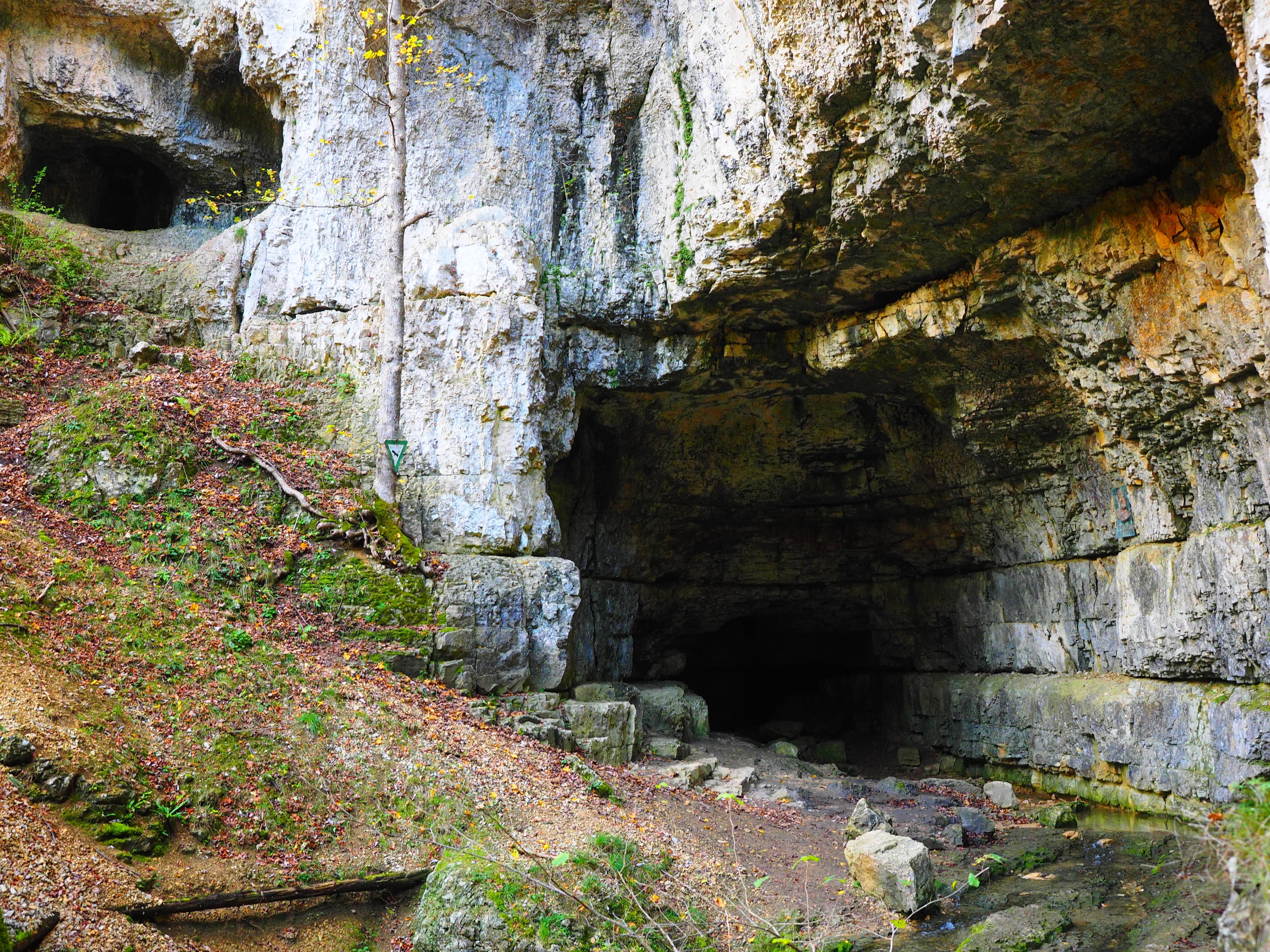 active water cave, baden württemberg, karst, non-urban scene, plant, growth, eroded, 4K, adventurous, forest, day, rock, rock formation, beauty in nature, HD Wallpaper
