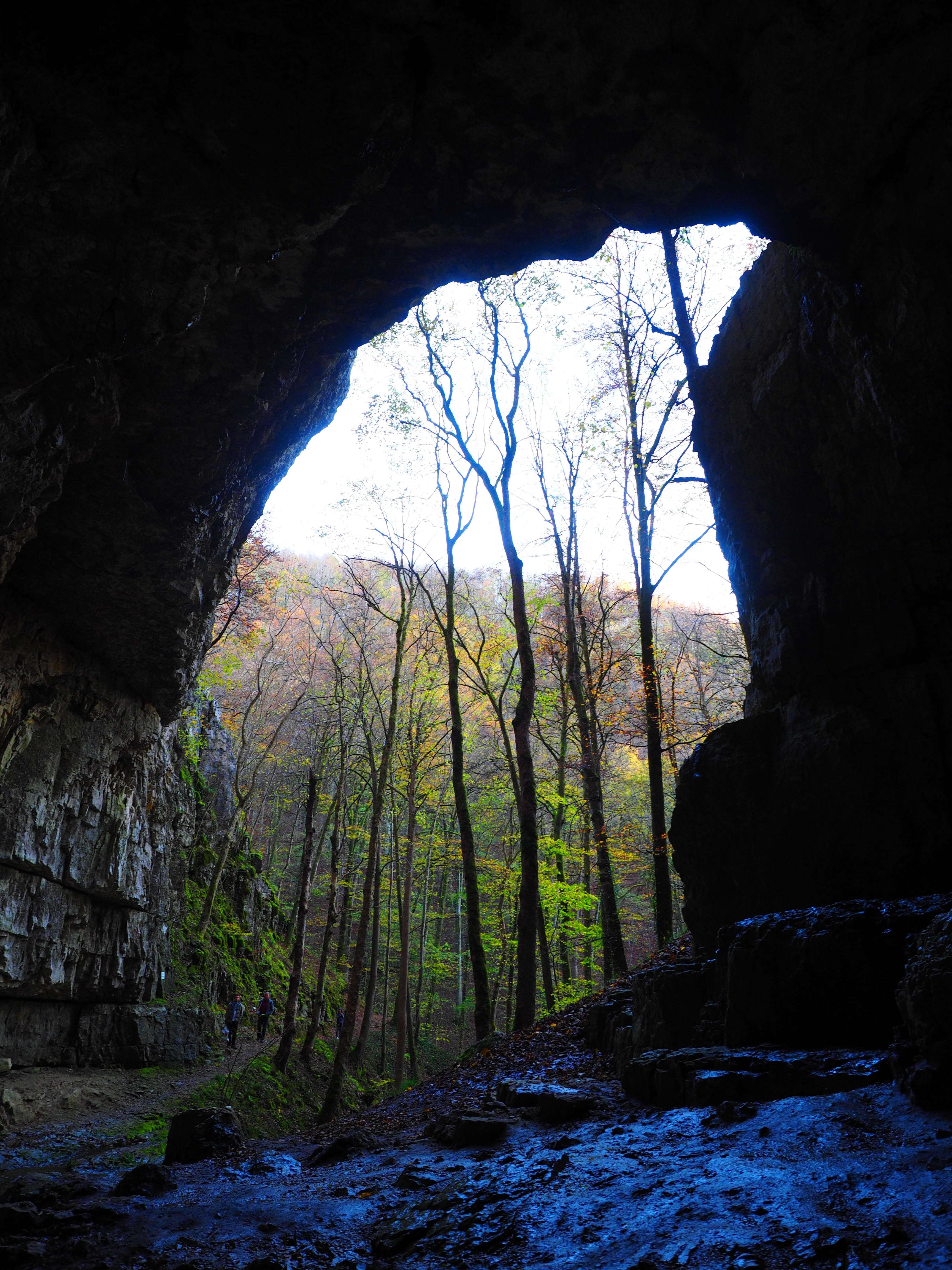 outdoors, falkensteiner cave, tranquil scene, baden württemberg, beauty in nature, karst, rock - object, gigantic, forest, active water cave, woodland, Phone HD Wallpaper