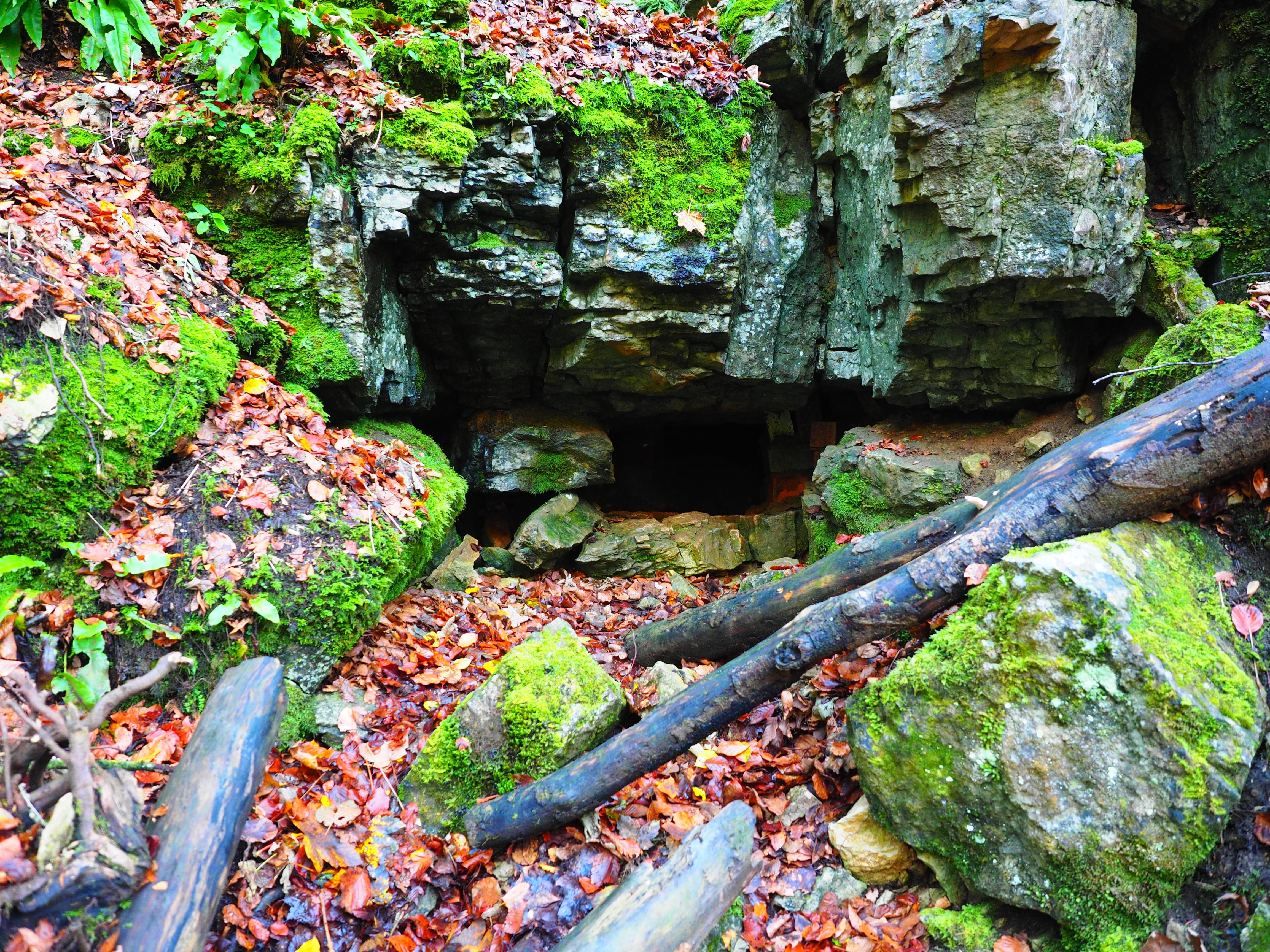 cavity, Cave, landscape, bad urach, water cave, flowing water, tree, elsachbröller, water, autumn, grave stetten, change, rock formation, gorge, swabian alb, HD Wallpaper