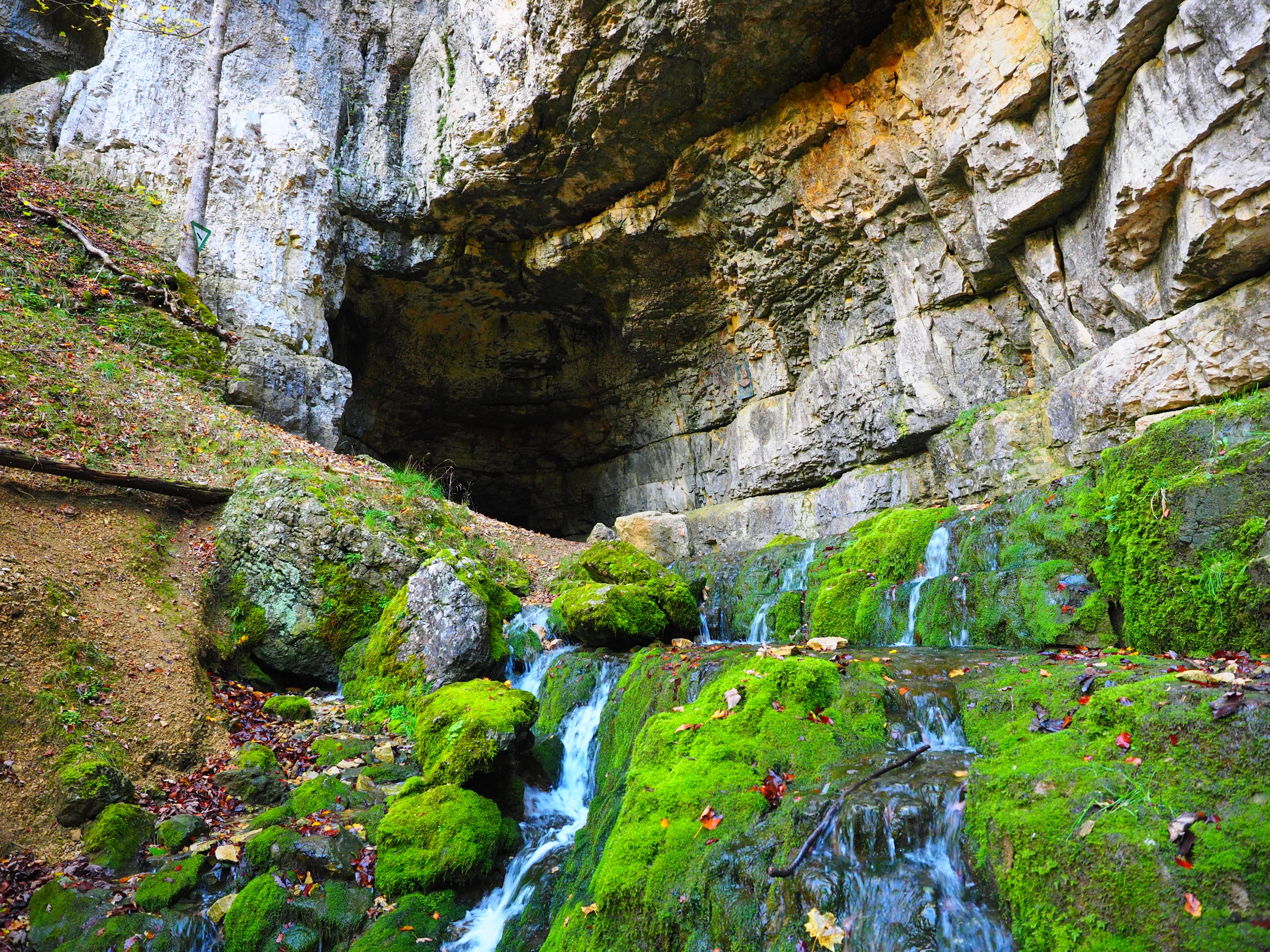 tree, solid, rock formation, geology, rock, stones, rock - object, scenics - nature, flowing, beauty in nature, bad urach, baden württemberg, plant, no people, HD Wallpaper