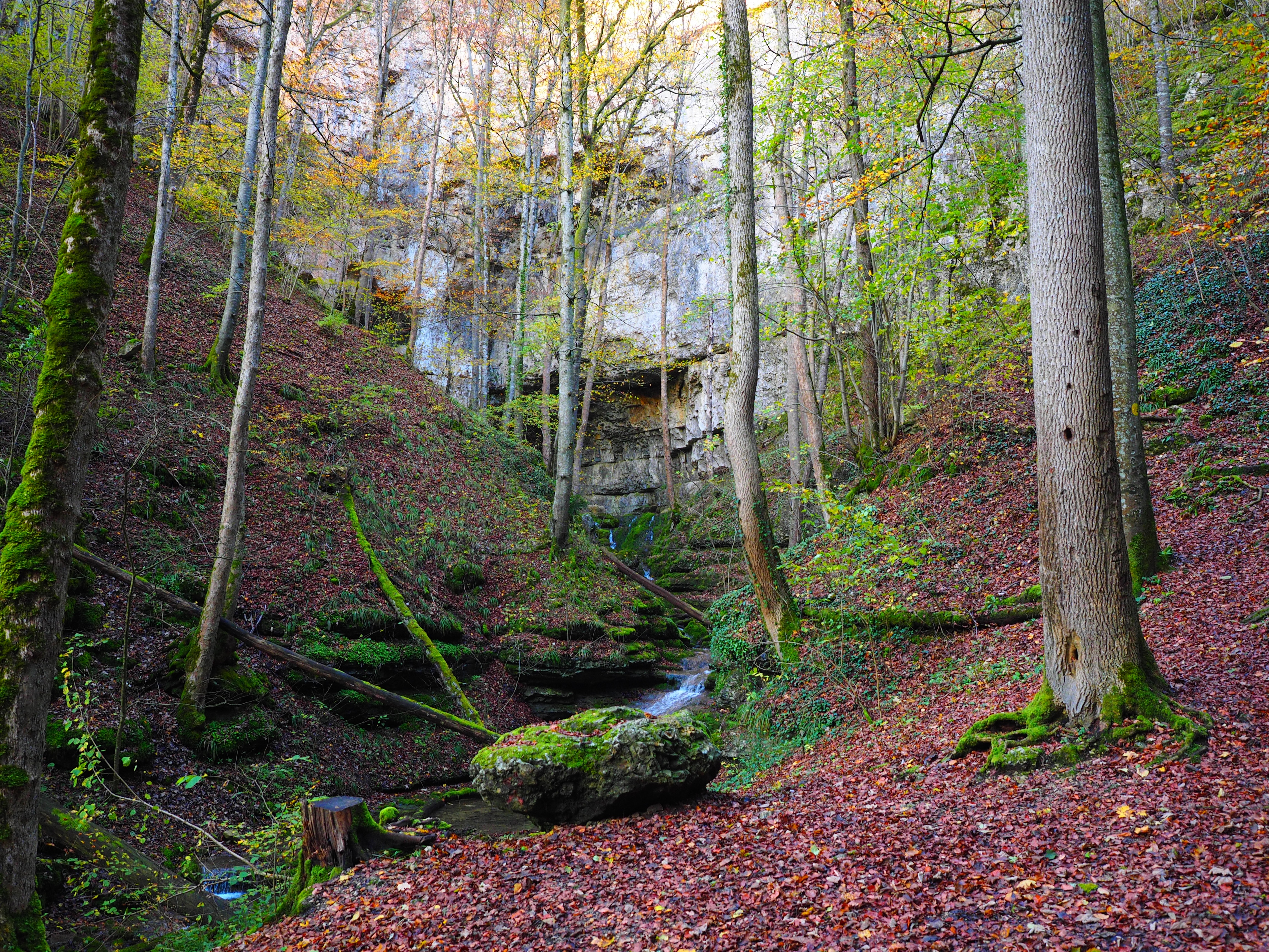 tranquility, falkensteiner cave, swabian alb, change, land, elsach, active water cave, tree, forest, outdoors, baden württemberg, scenics - nature, woodland, HD Wallpaper