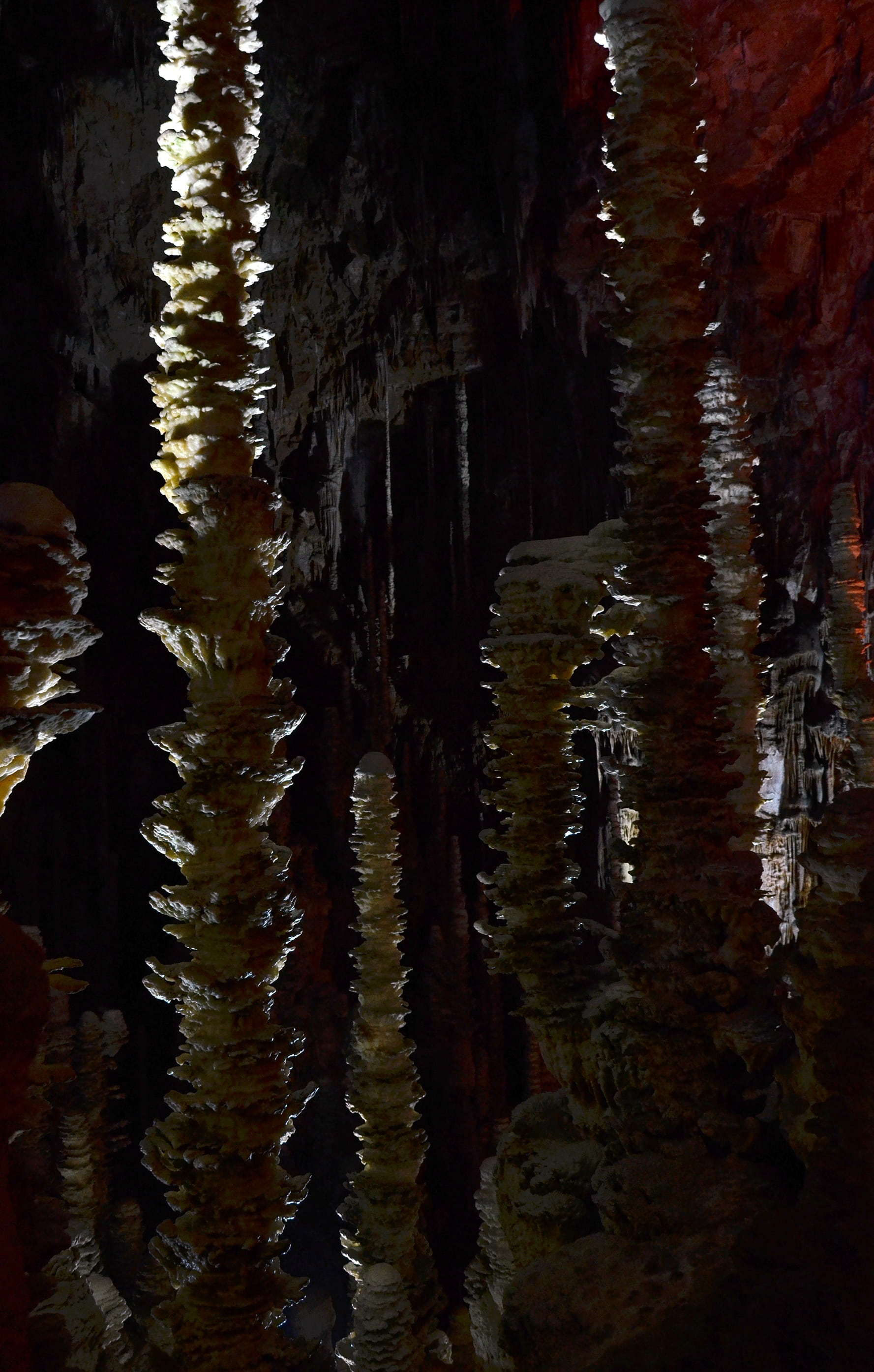 france, rock, nature, stalagmites, land, full frame, beauty in nature, forest, karst, non-urban scene, outdoors, cave, rock - object, tranquility, aven armand, Phone HD Wallpaper