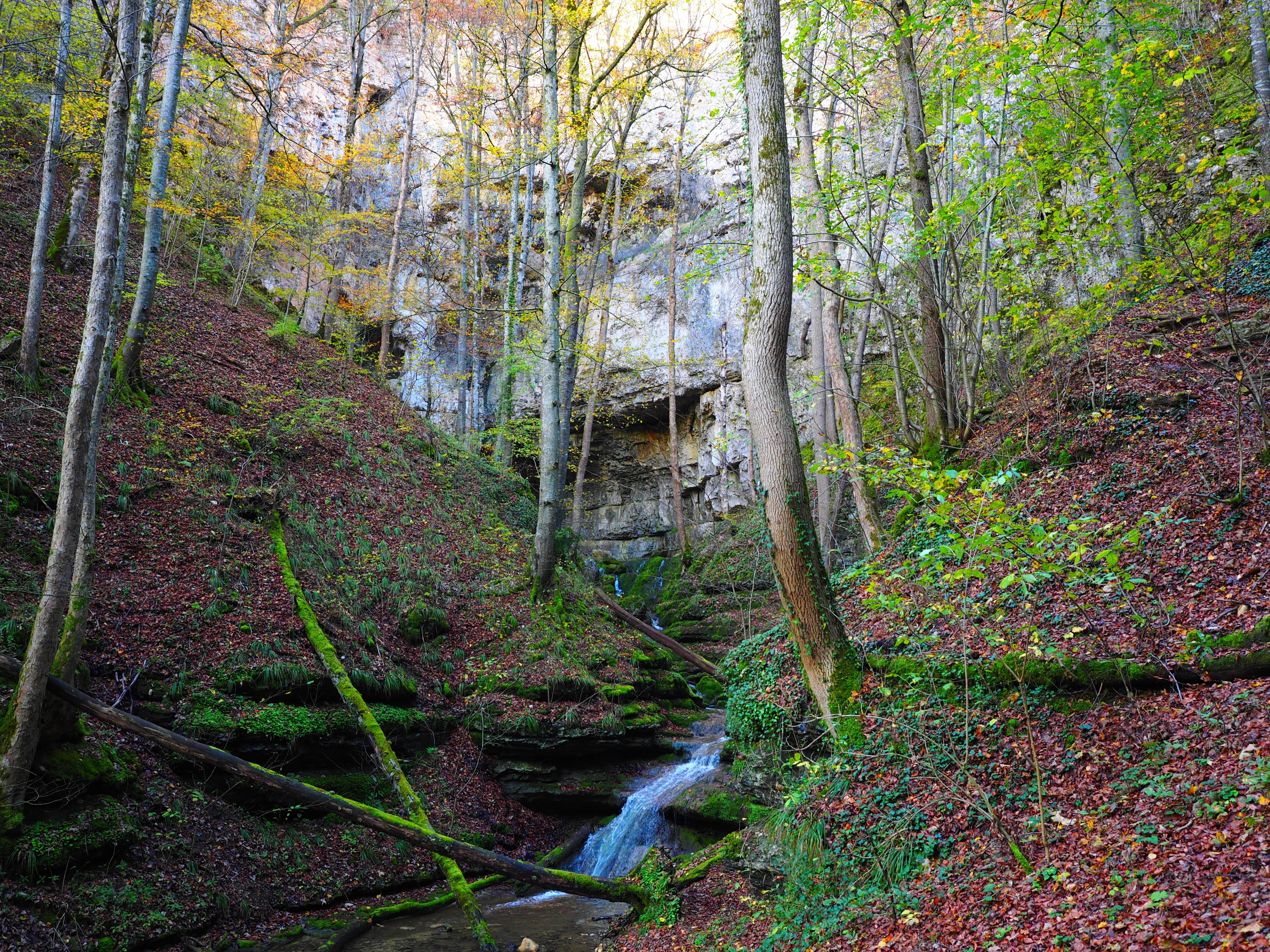 tranquil scene, nature, beauty in nature, woodland, flowing water, land, bad urach, plant, active water cave, water cave, green color, elsach, tranquility, HD Wallpaper