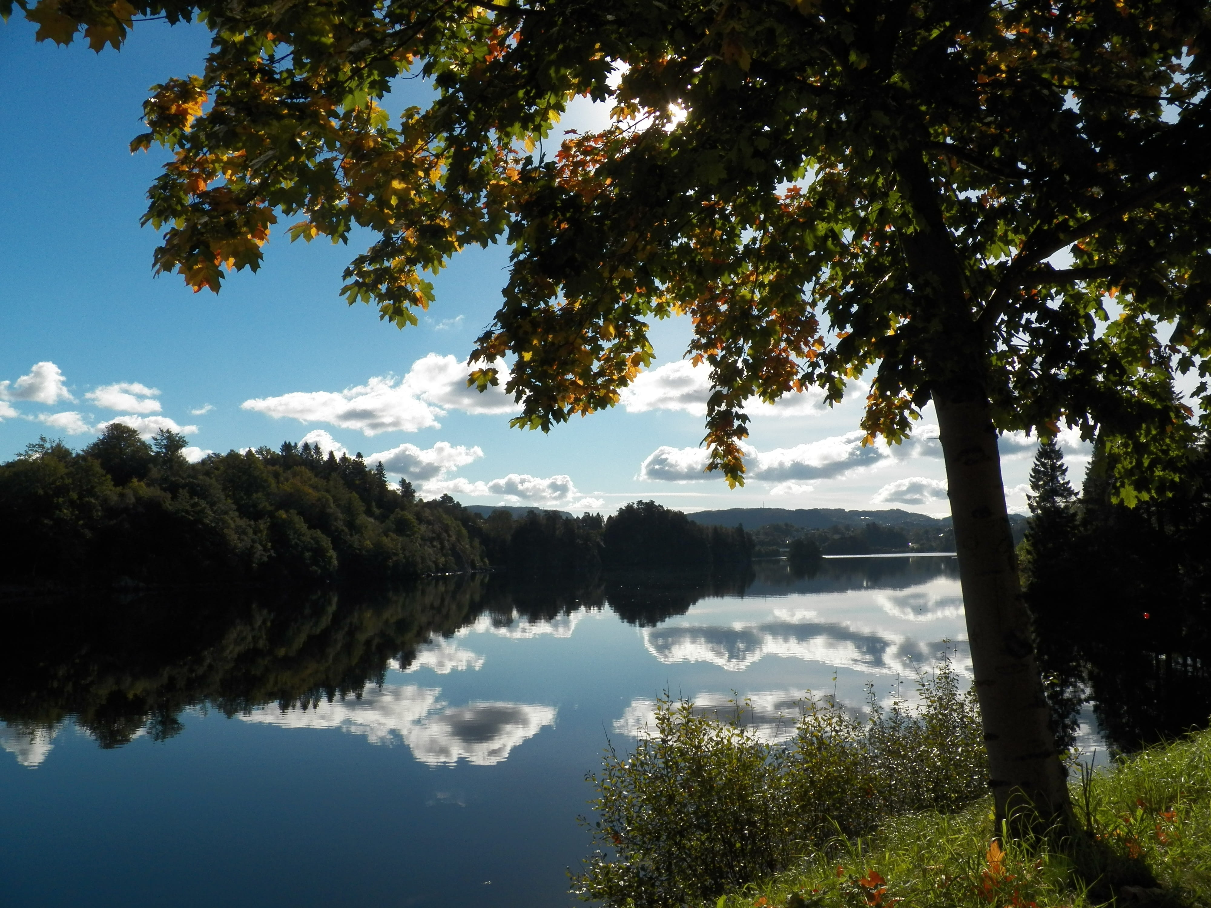 4K, Spring, water, landscape, outdoors, sky, scenics - nature, Bergen, beauty in nature, Trees, Norway, travel, no people, growth, reflection, tranquil scene, HD Wallpaper