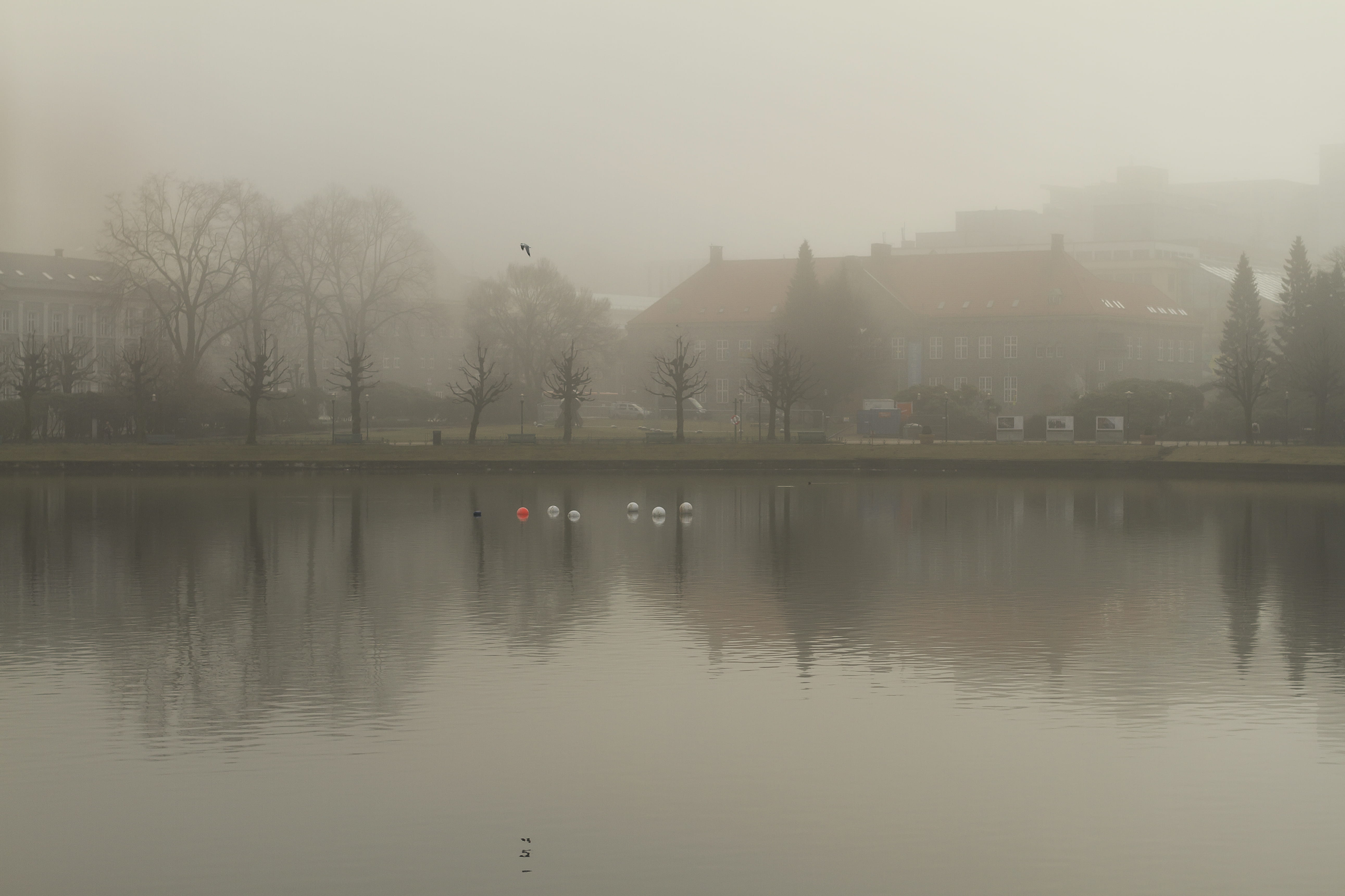 norway, partyplace, beauty in nature, lille lungegårdsvannet, hazy, trees, tree, built structure, sky, tranquil scene, birds, public, no people, lille, HD Wallpaper