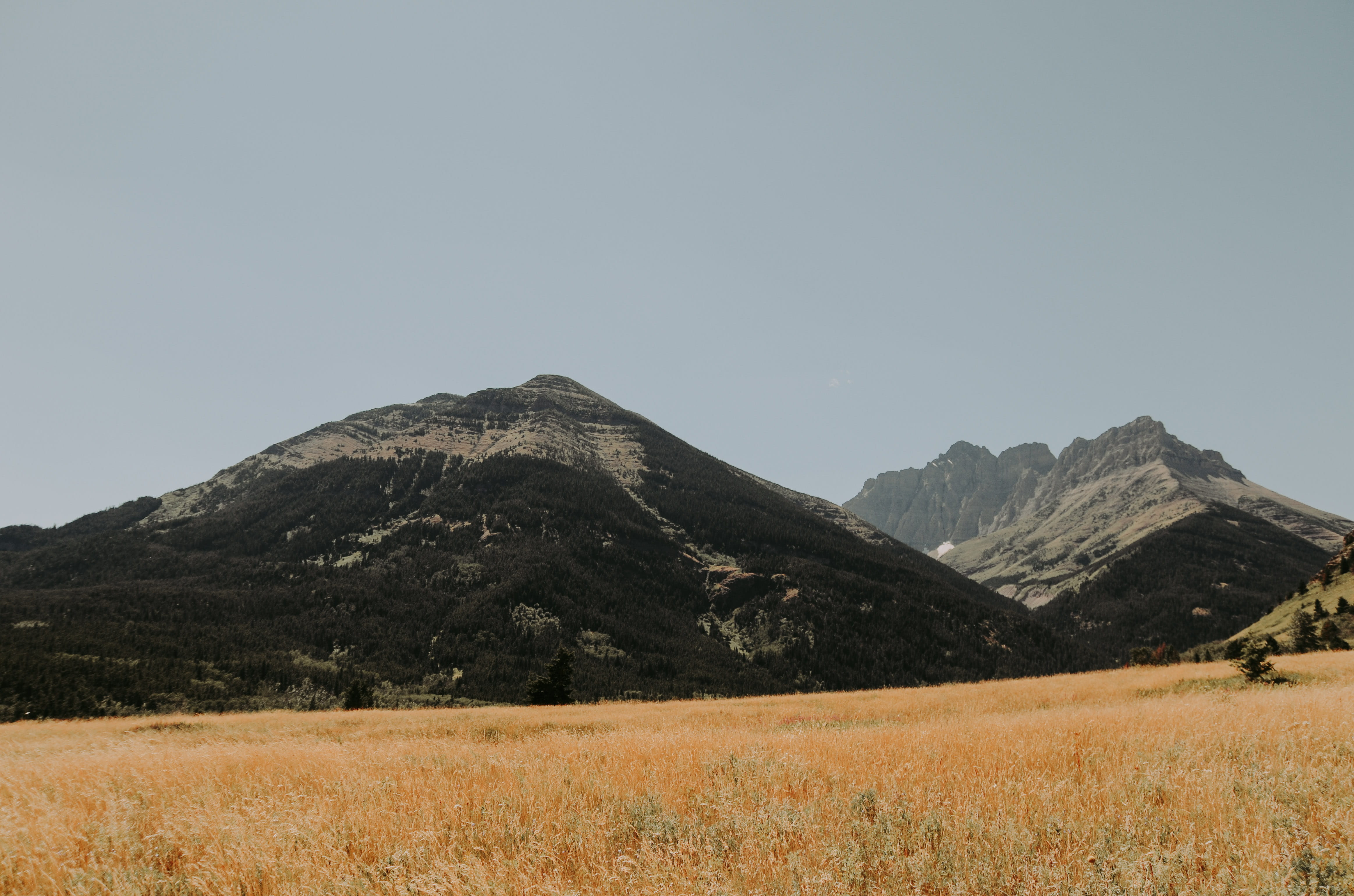 idyllic, tranquility, hiking, alberta, wilderness, beauty in nature, mountain, plant, nature, green, clear sky, waterton lakes national park, no people, HD Wallpaper