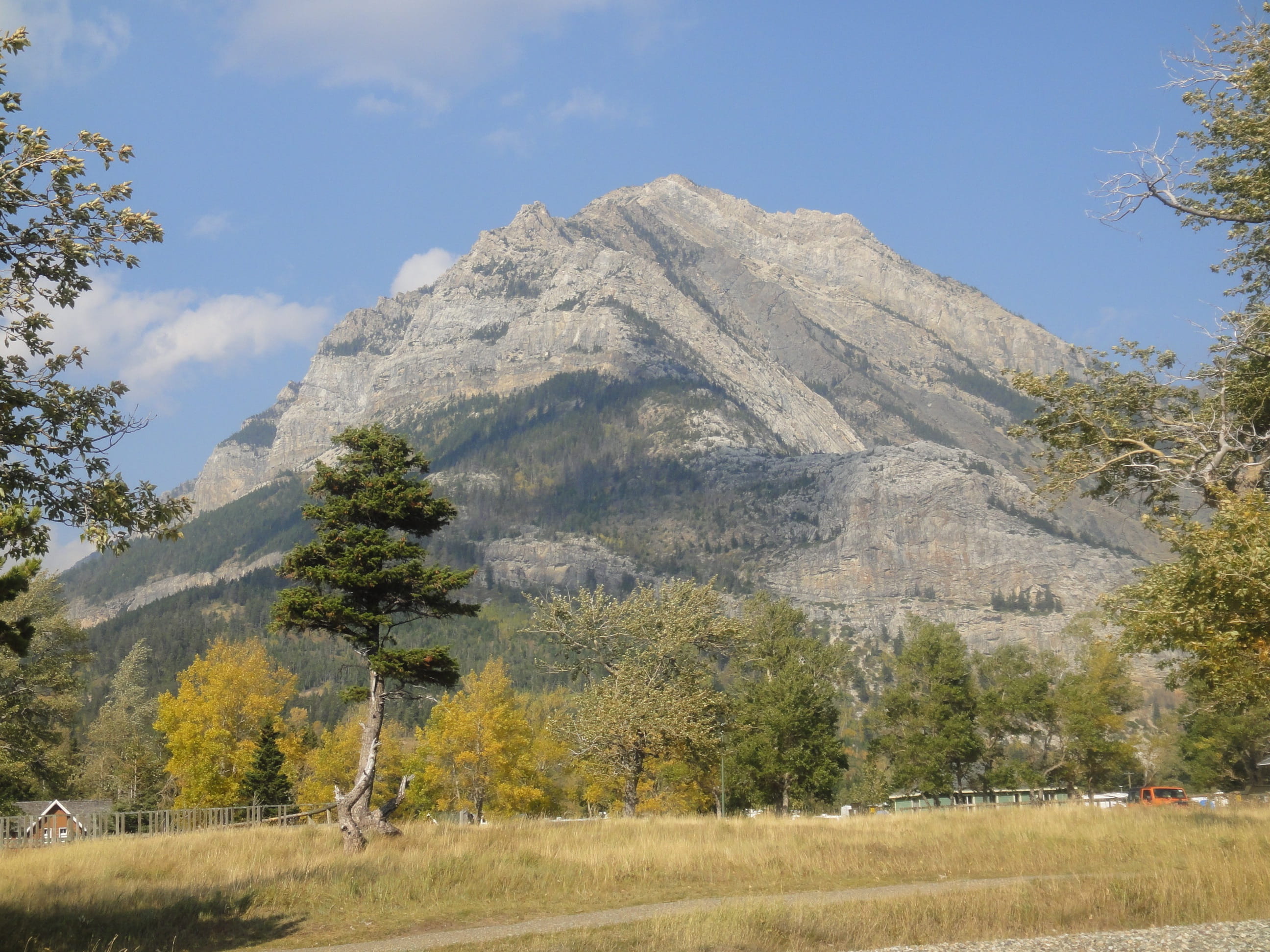 scenics - nature, canada, land, field, scenic, mountain peak, 2K, mountain range, outdoors, environment, mountain, tranquility, nature, tree, alberta, HD Wallpaper