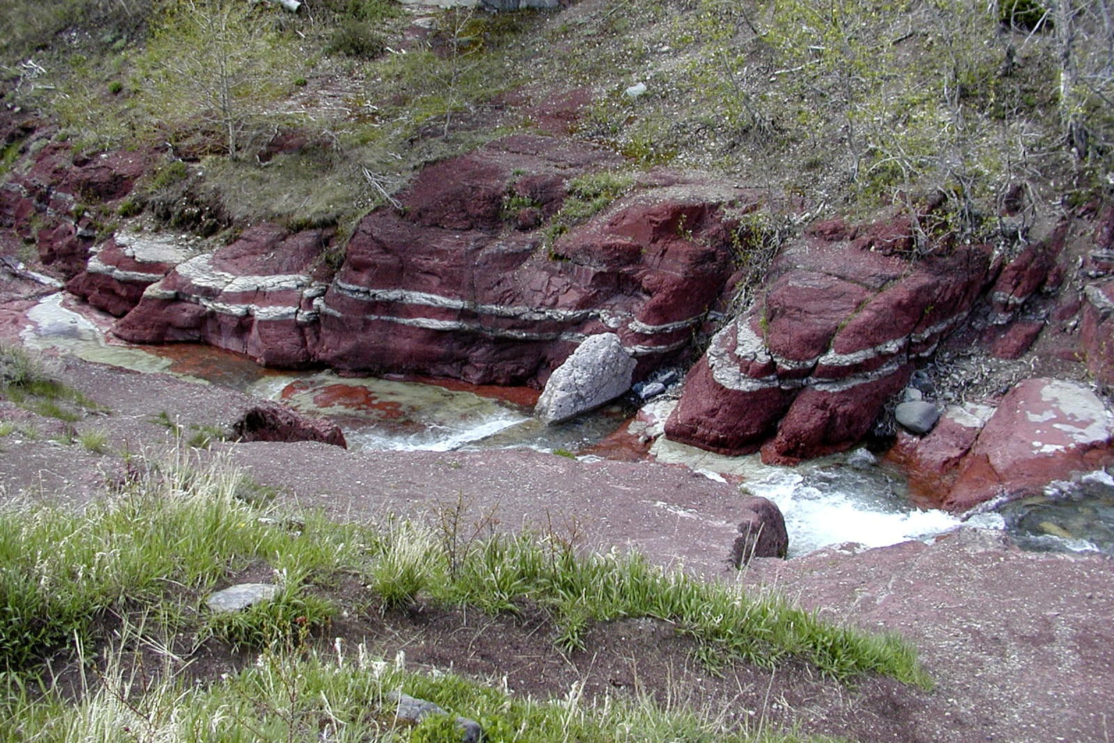 non-urban scene, outdoors, tranquil scene, growth, scenics, waterton provincial park, no People, river, tree, Red Cliffs, Water, rock, alberta, rock - Object, HD Wallpaper